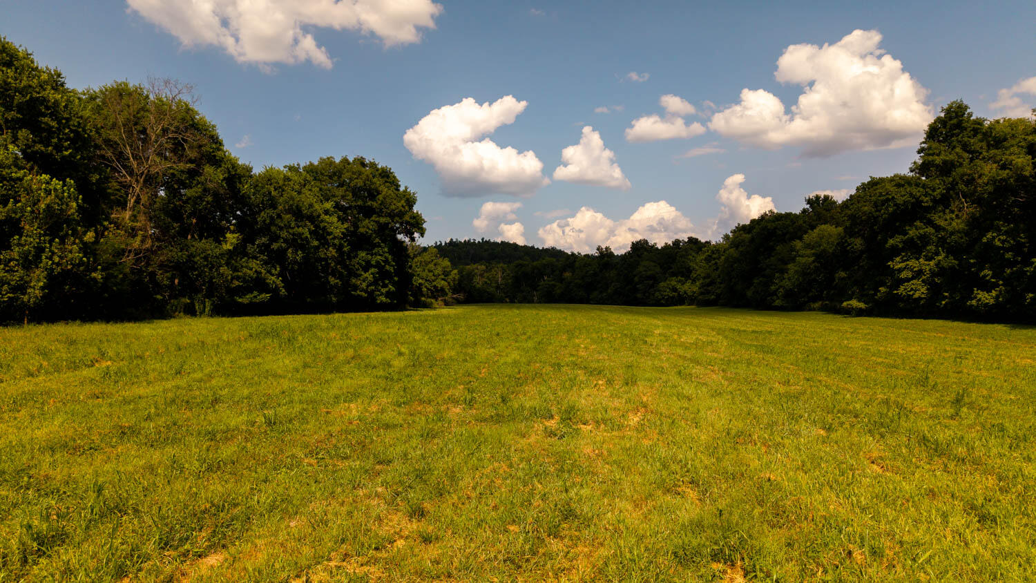 main property photo 98