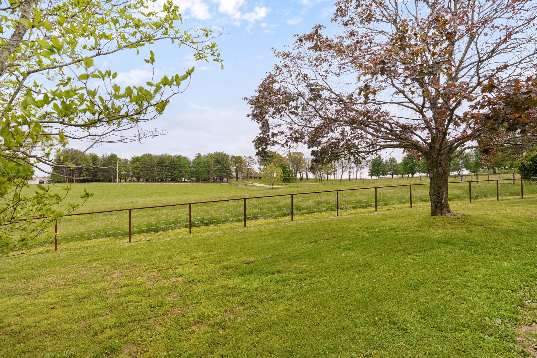 main property photo 54