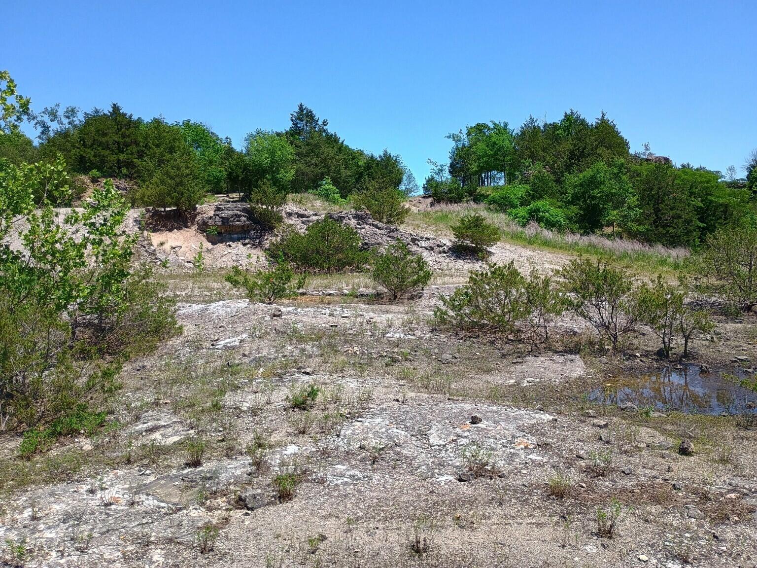 main property photo 14