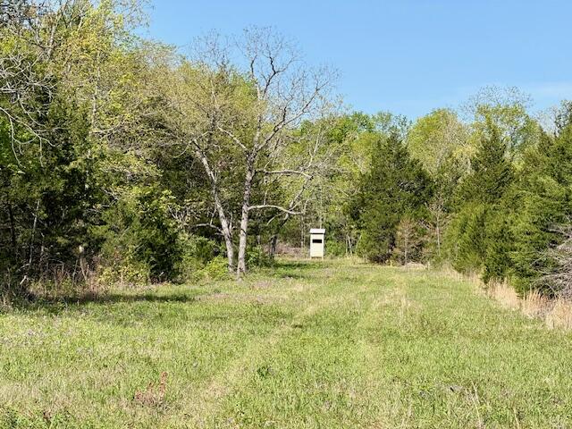 main property photo 13