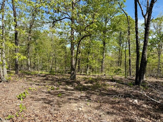 main property photo 57