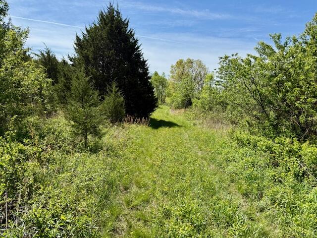 main property photo 63