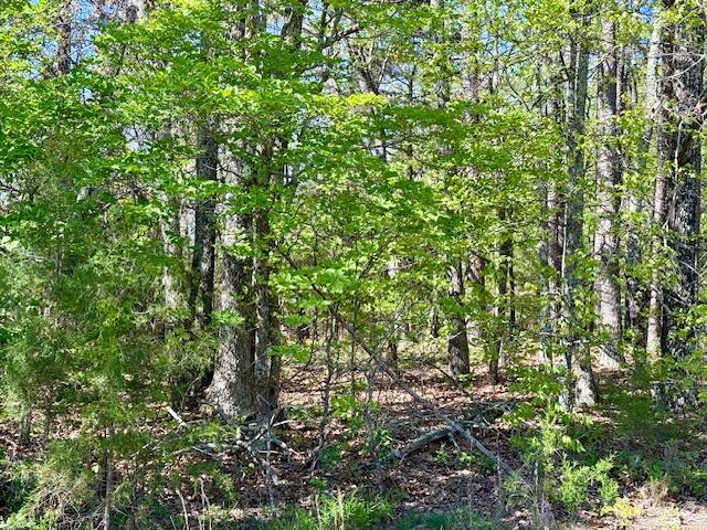main property photo 72