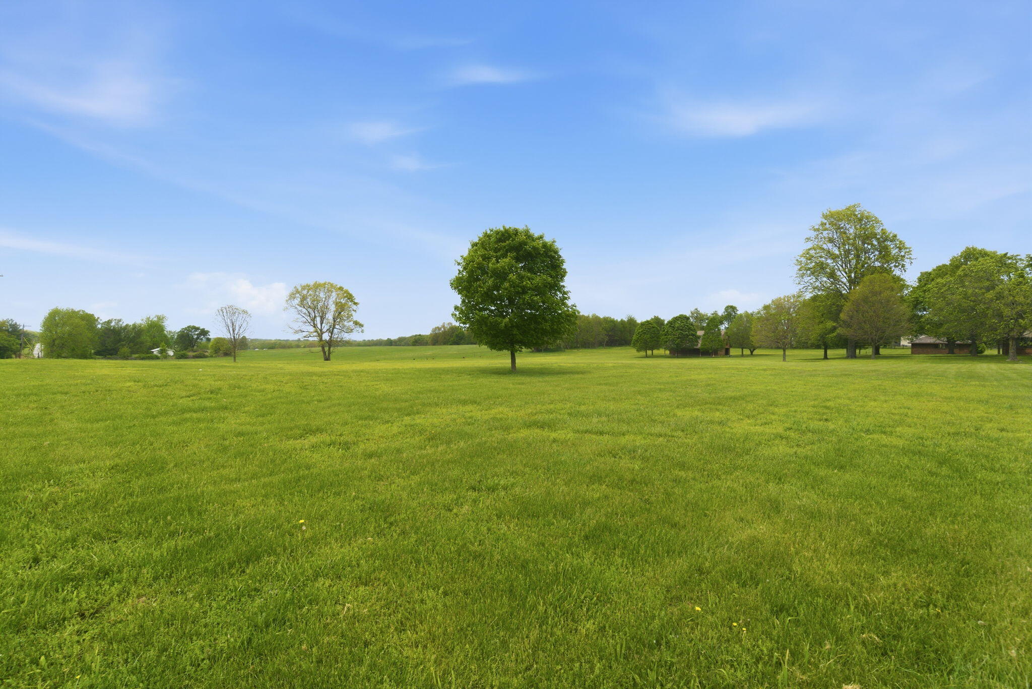 main property photo 60