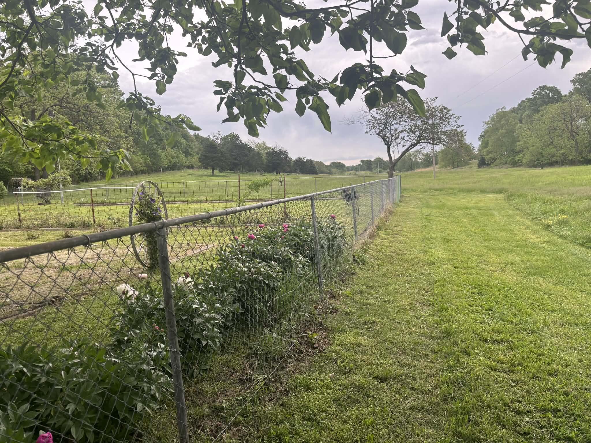 main property photo 11