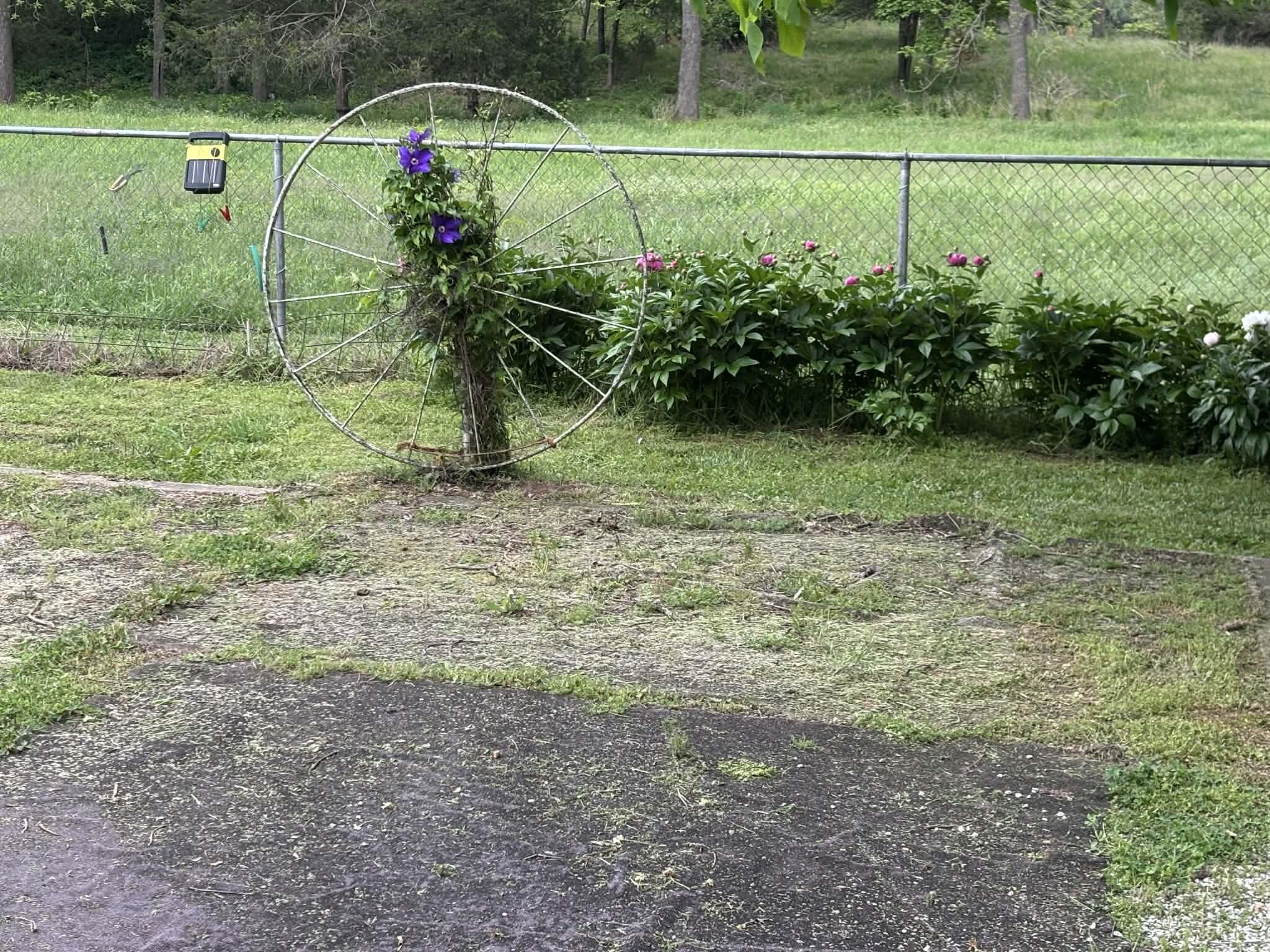 main property photo 22