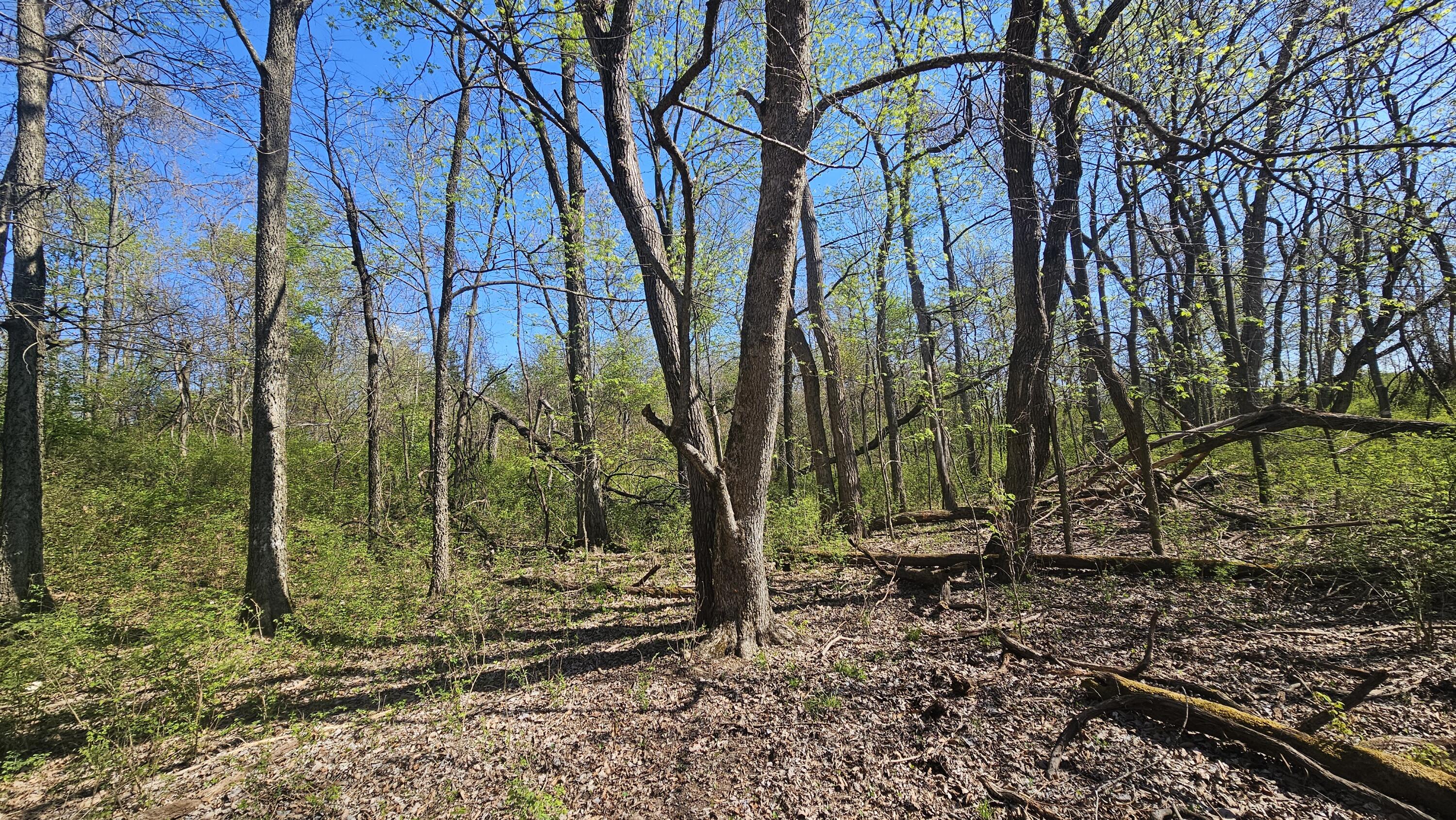 main property photo 60