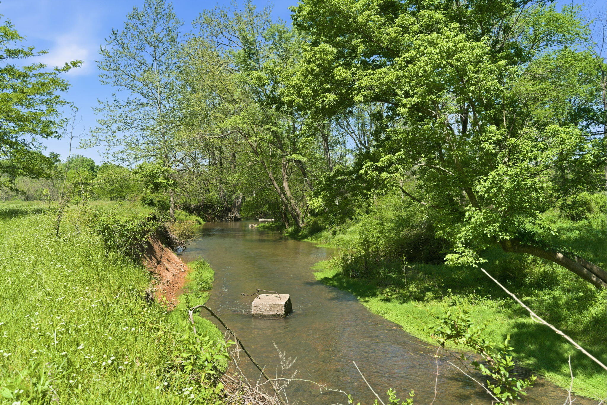 main property photo 38