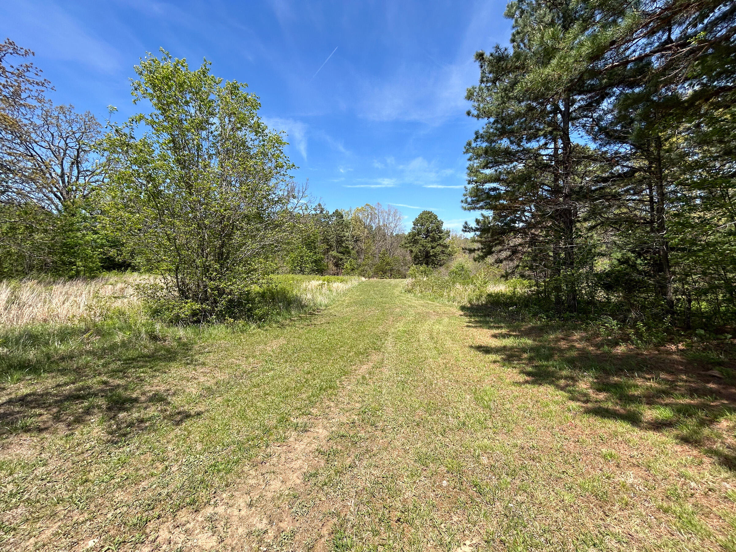 main property photo 25