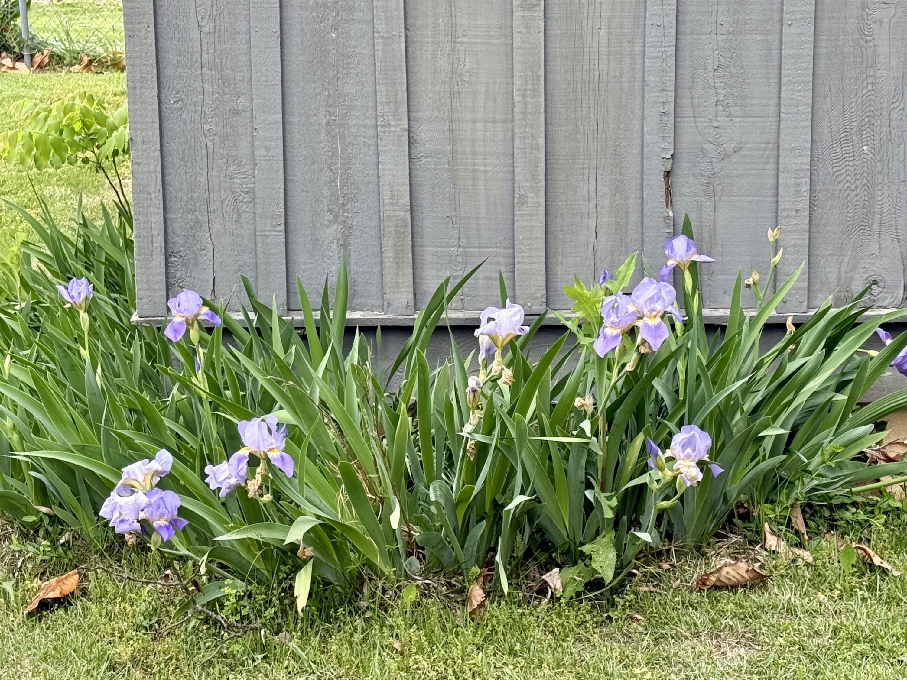 main property photo 22