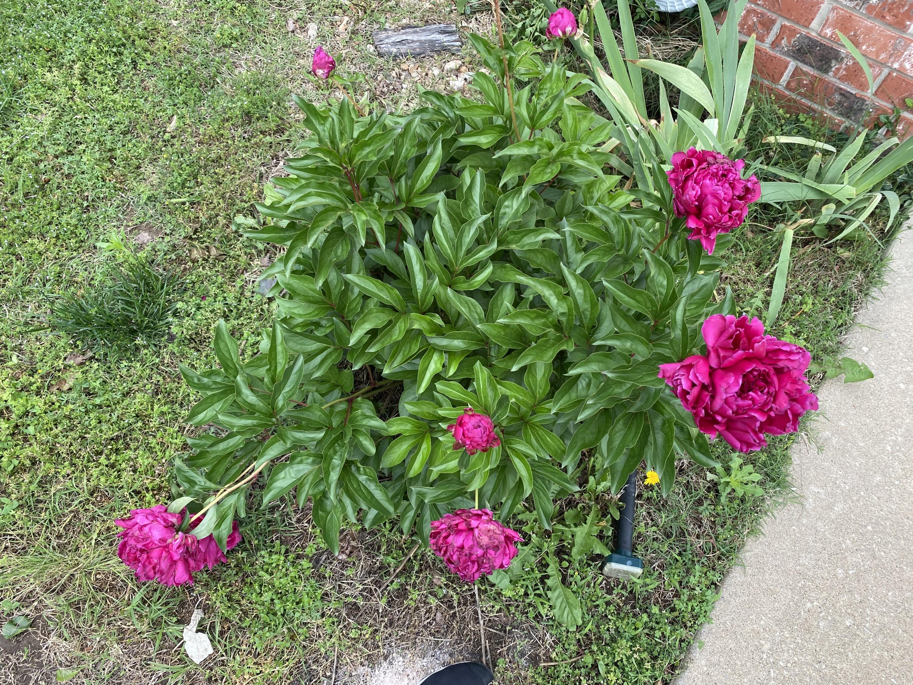 property viewer photo 42
