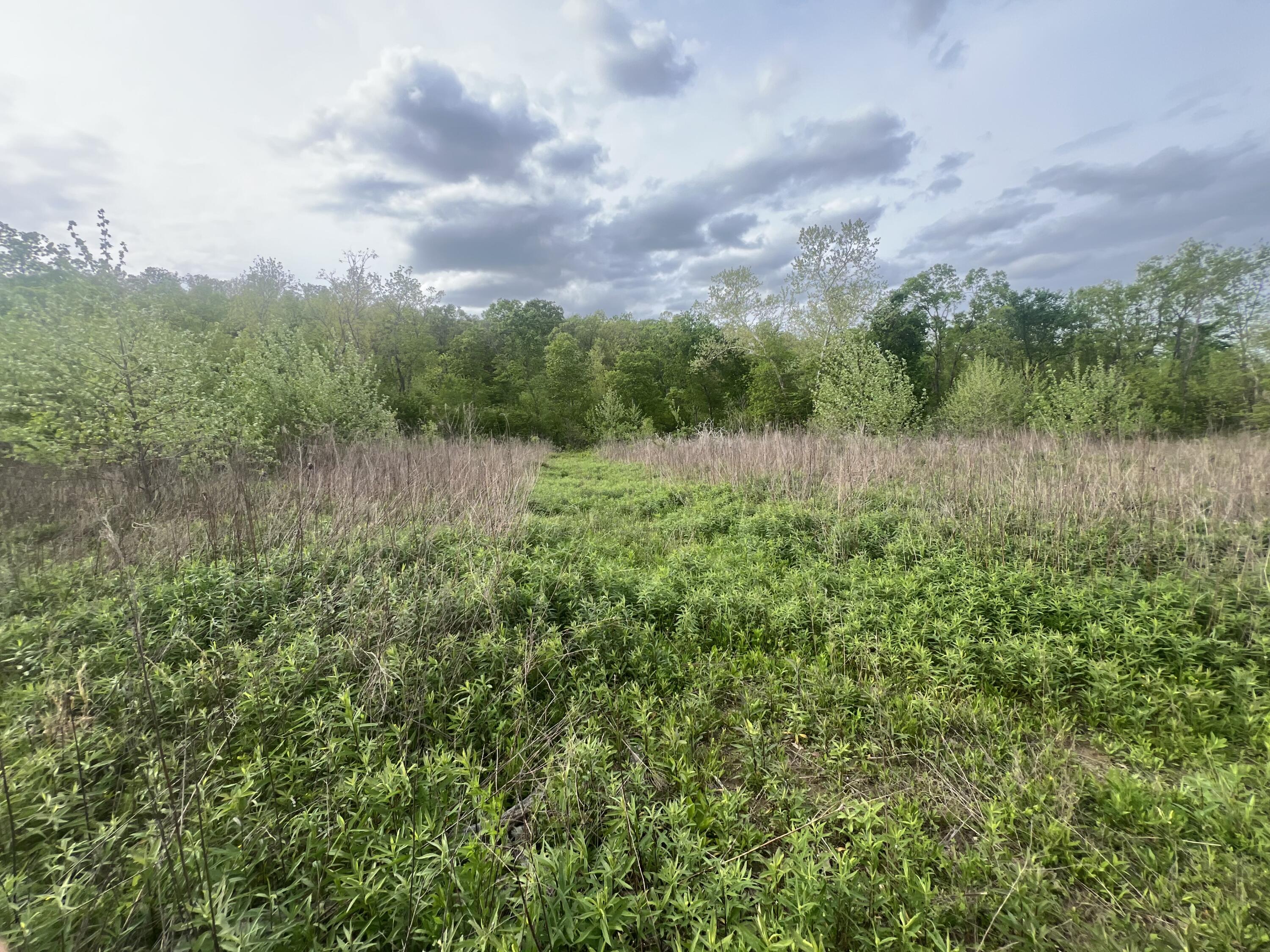 main property photo 0