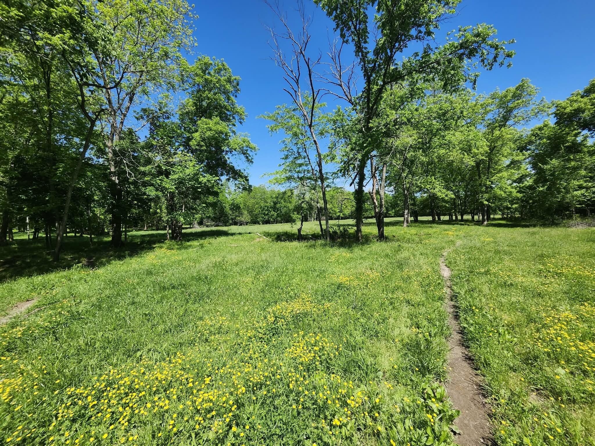 main property photo 11