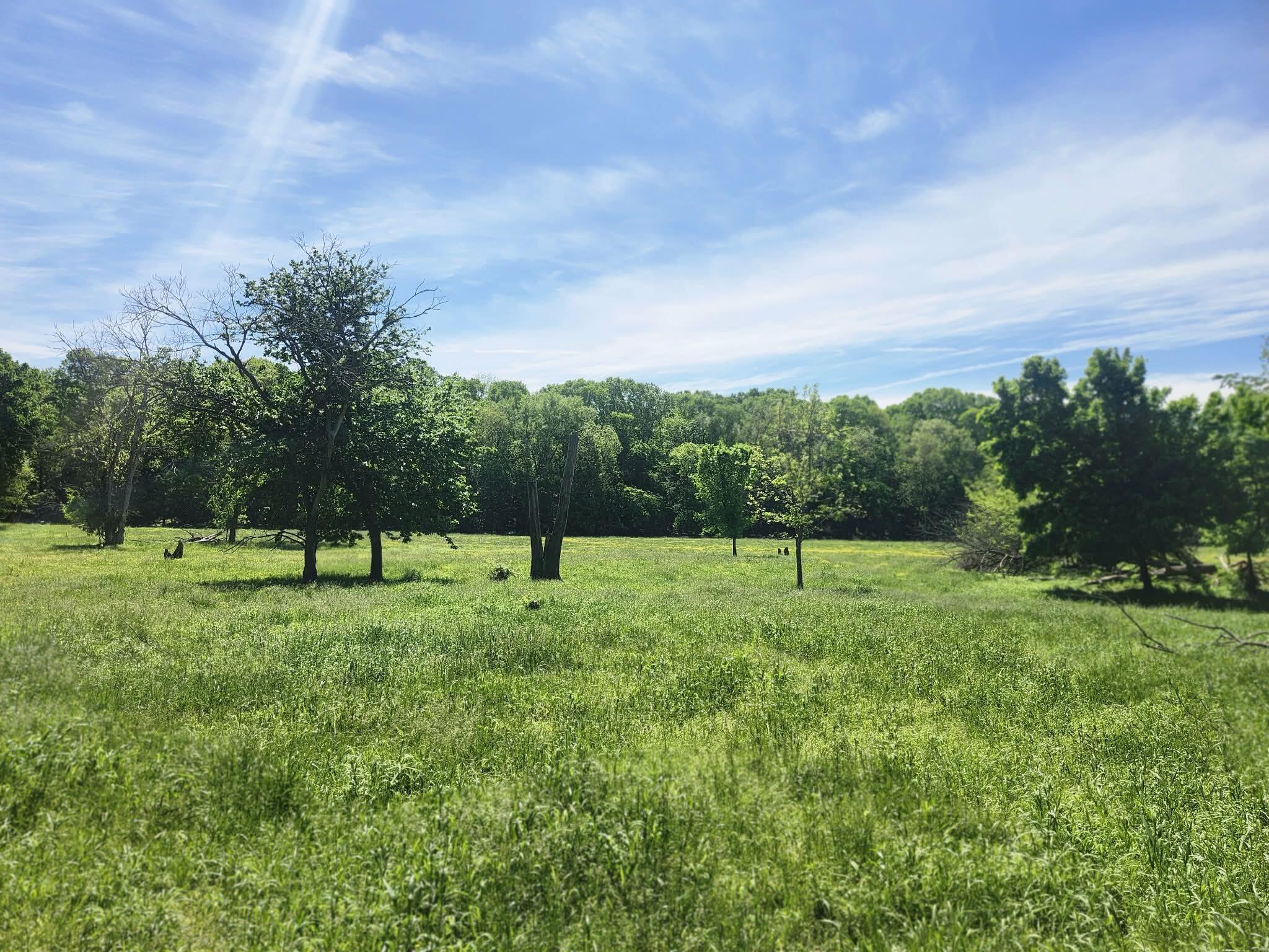 main property photo 21