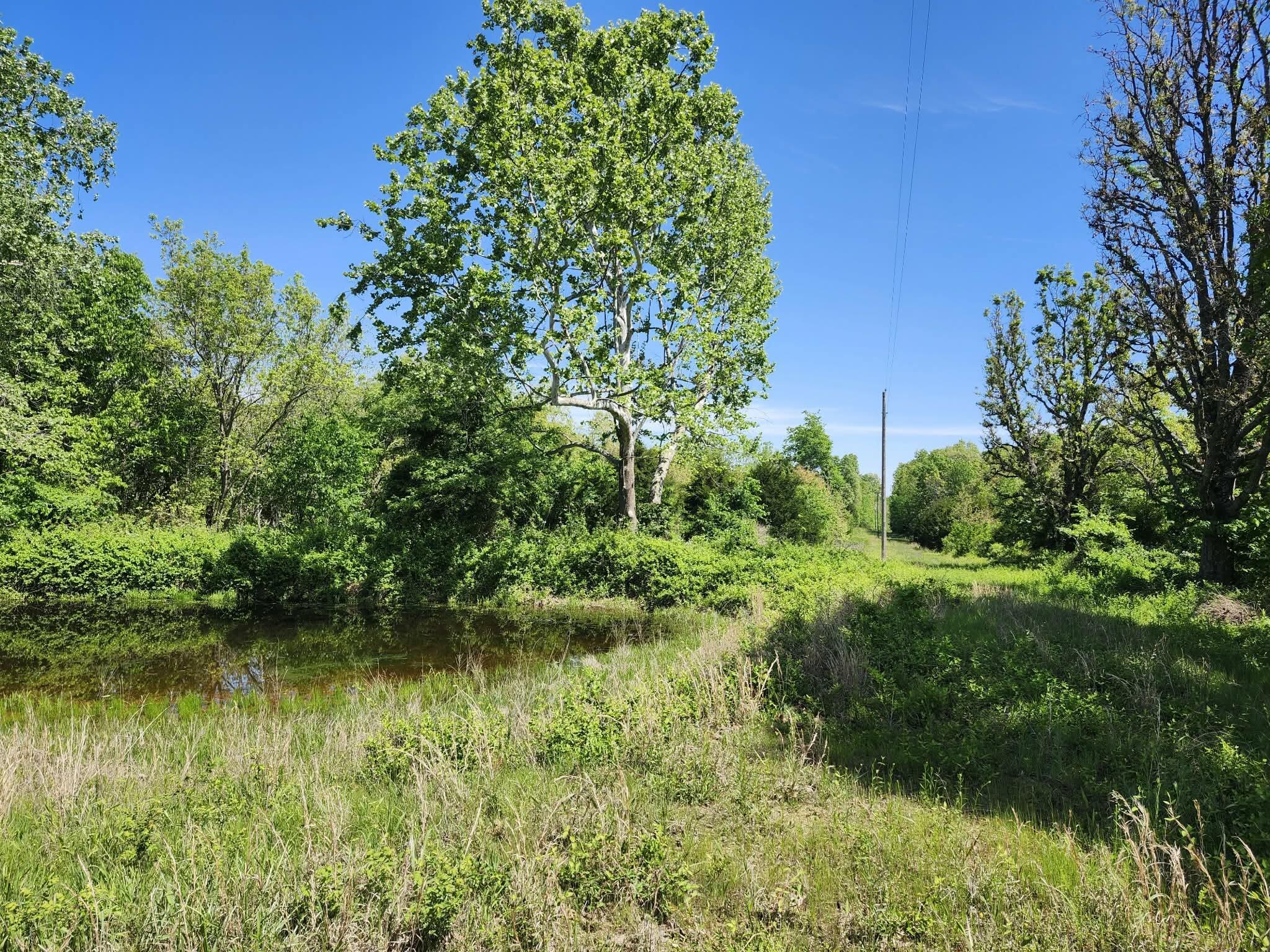 main property photo 24