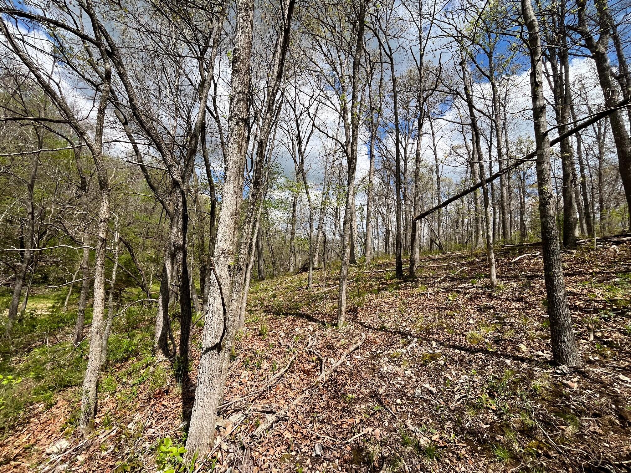 main property photo 84