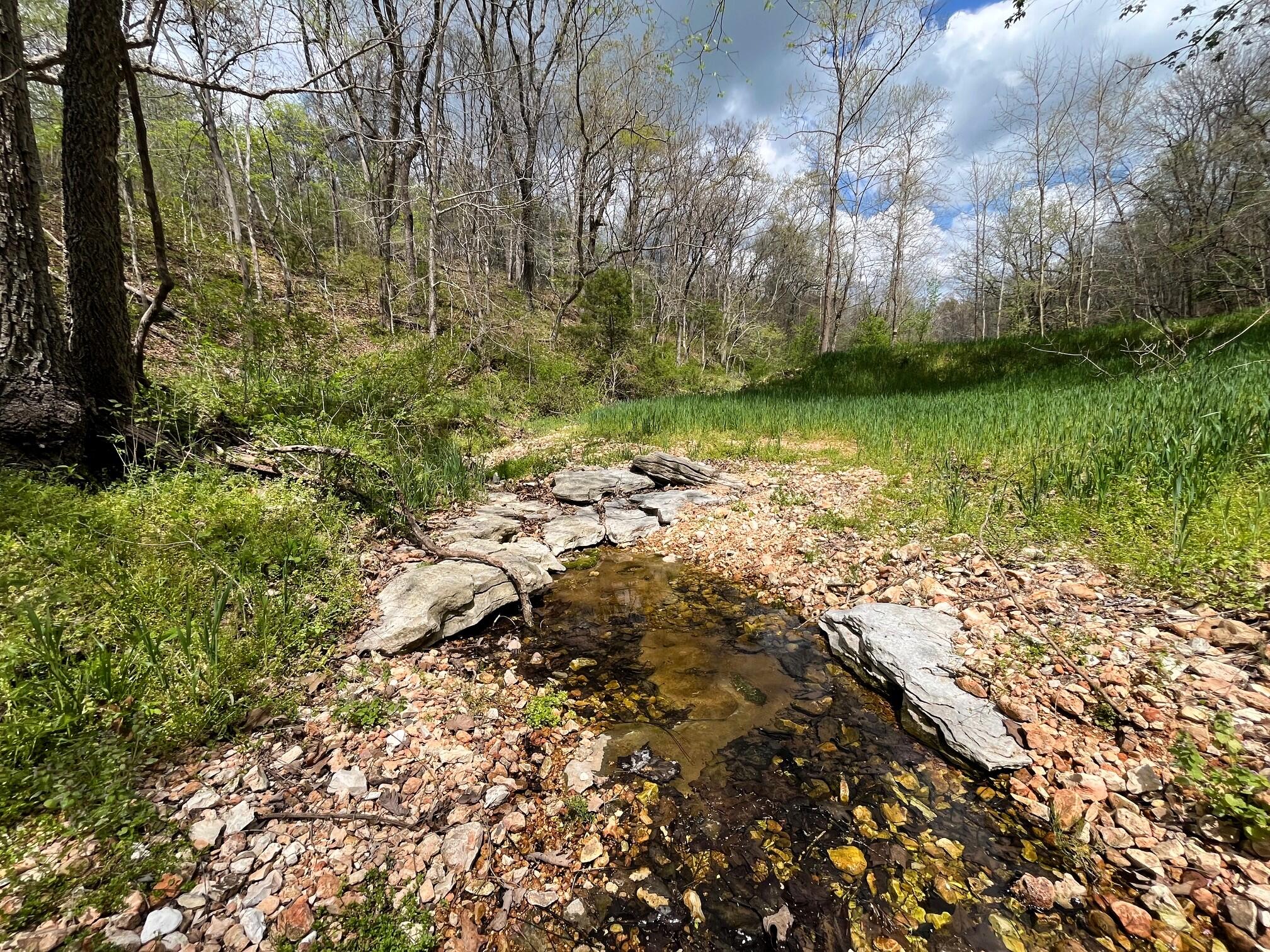 main property photo 85