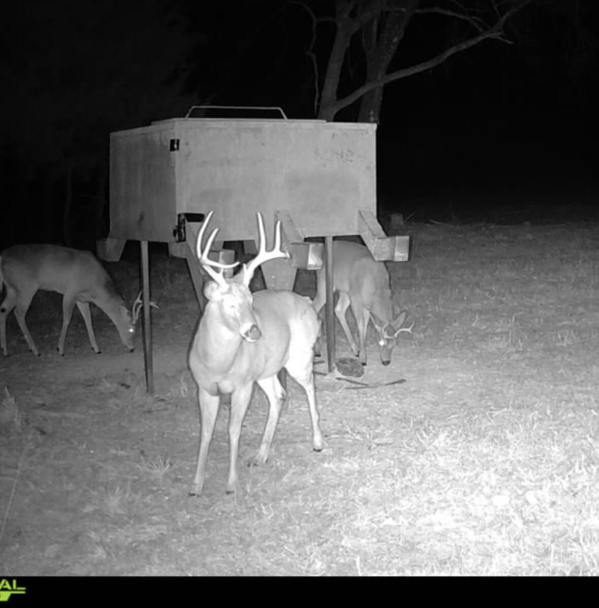 main property photo 90
