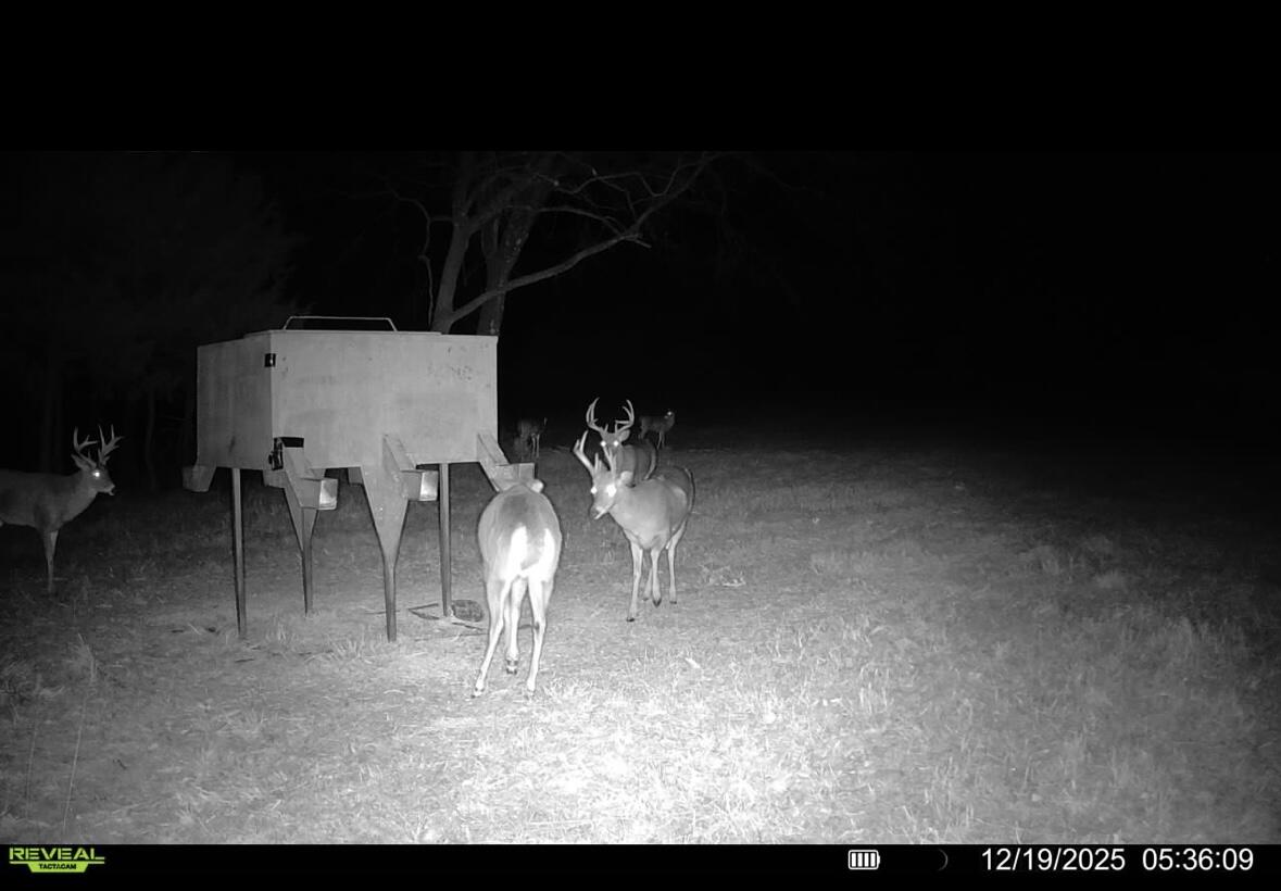 main property photo 92