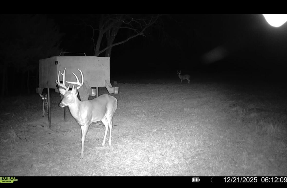 main property photo 97
