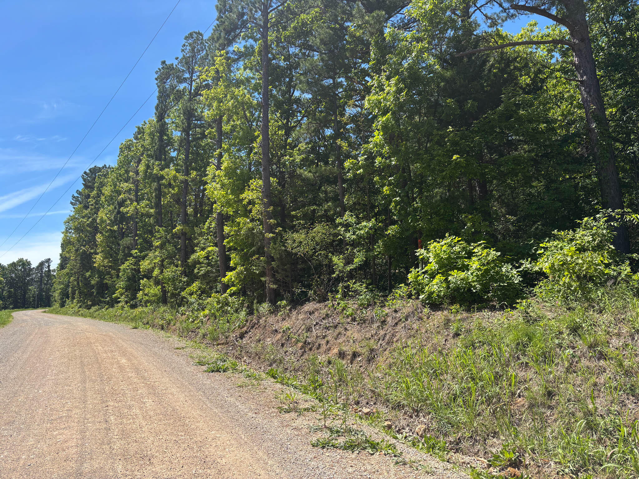 main property photo 0