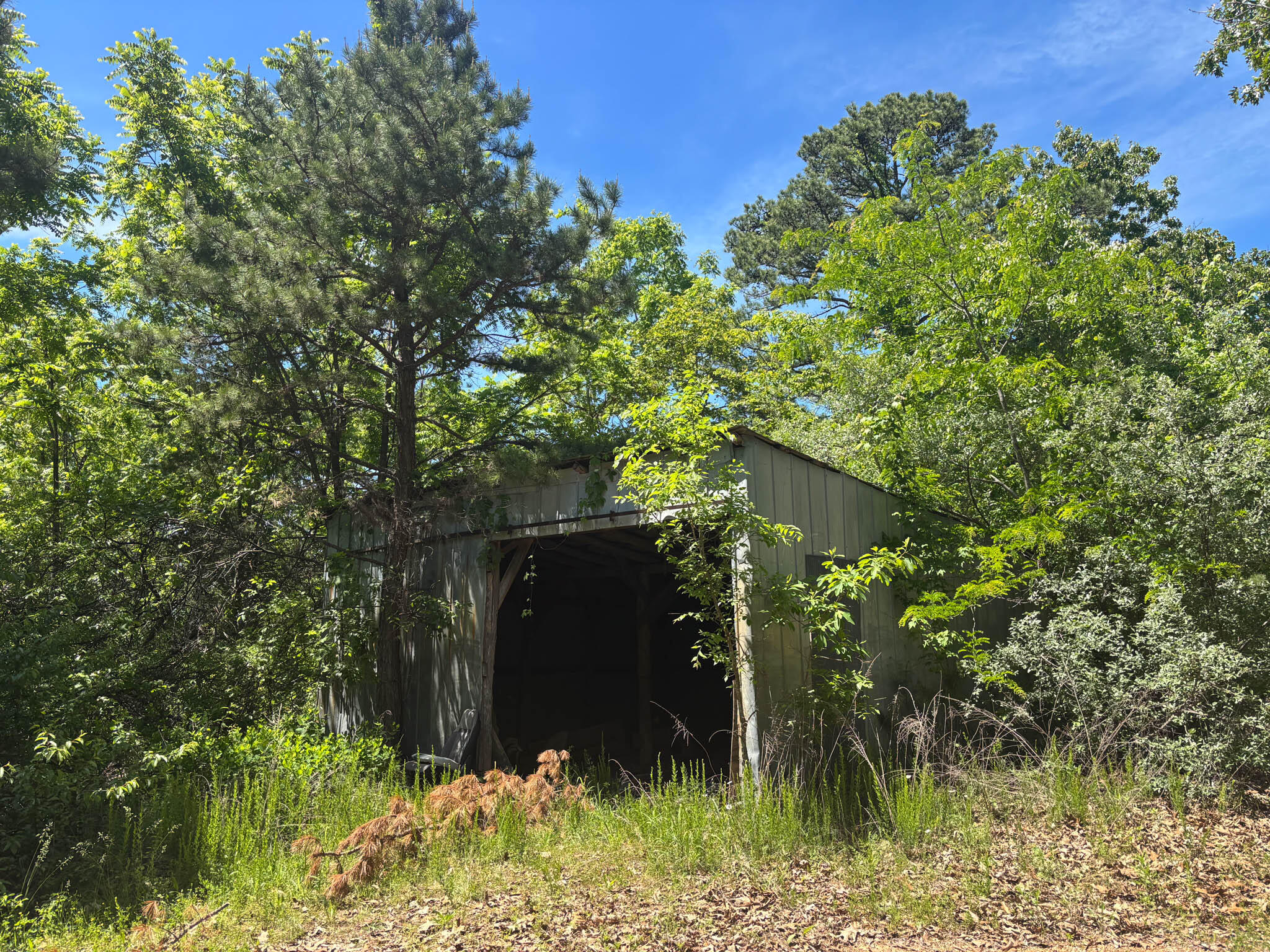 main property photo 3