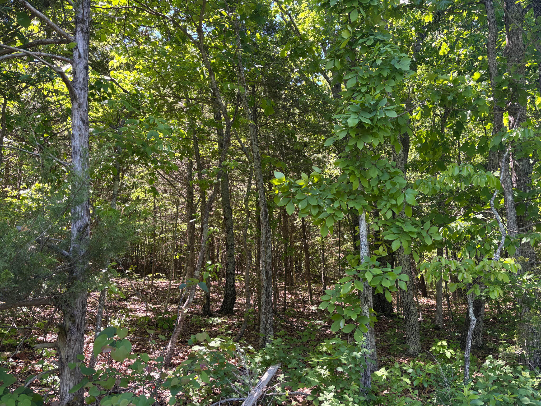main property photo 6
