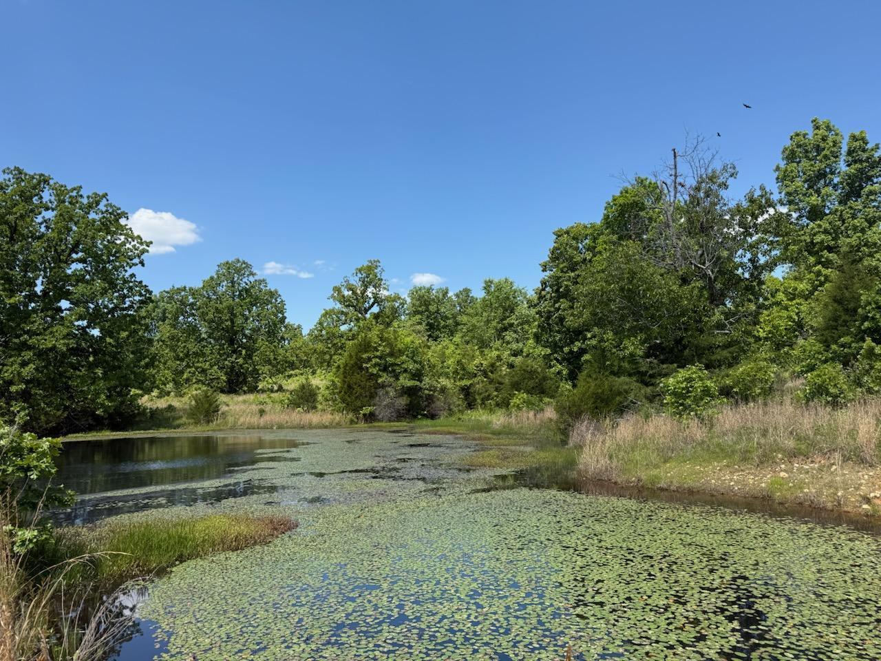 main property photo 32