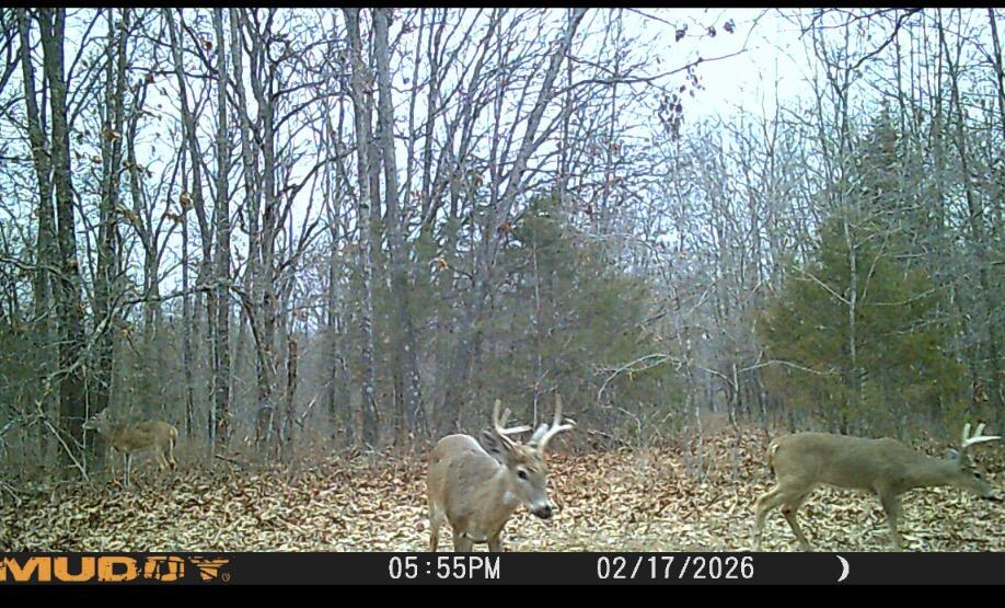 main property photo 9