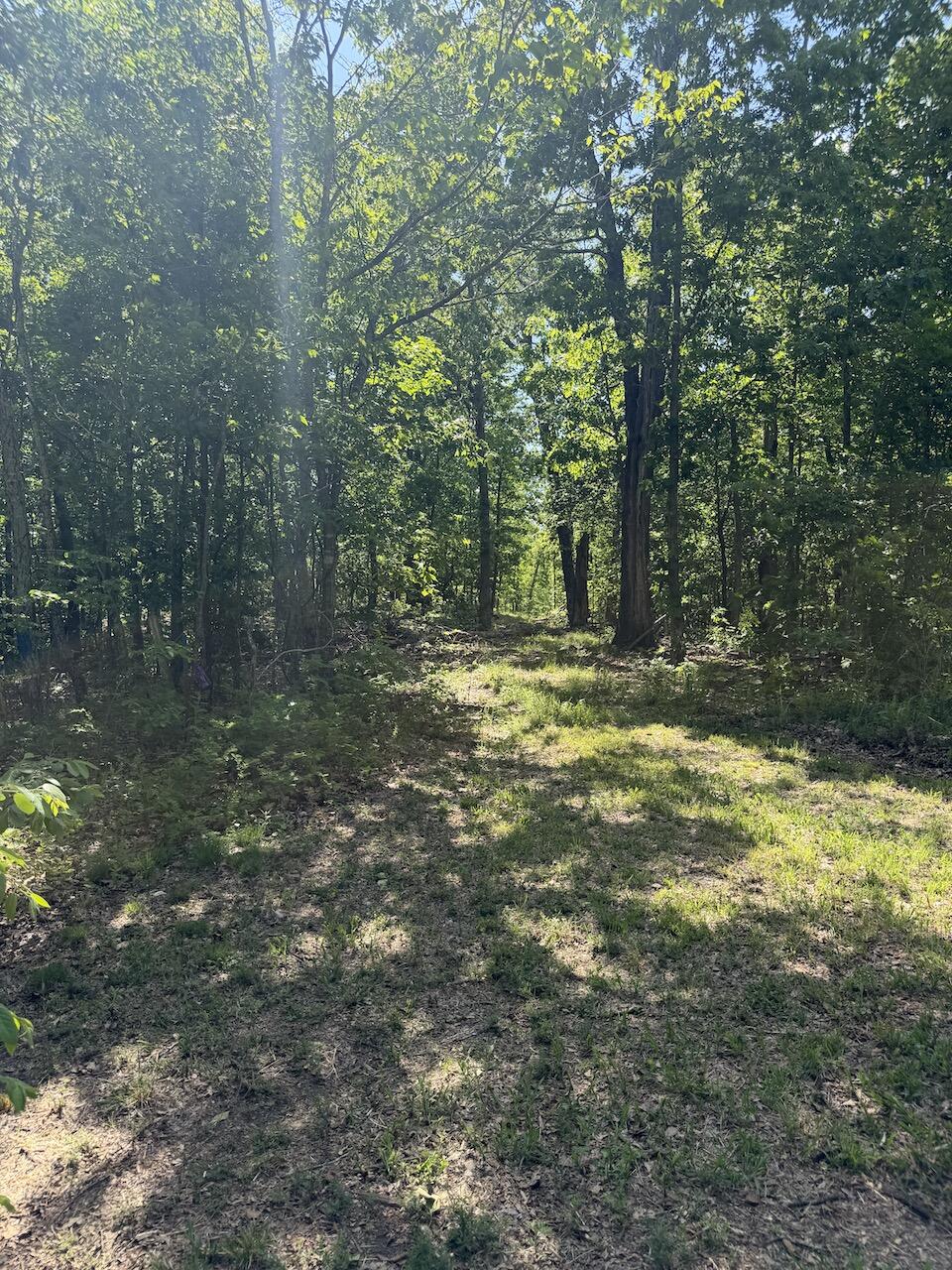 main property photo 120
