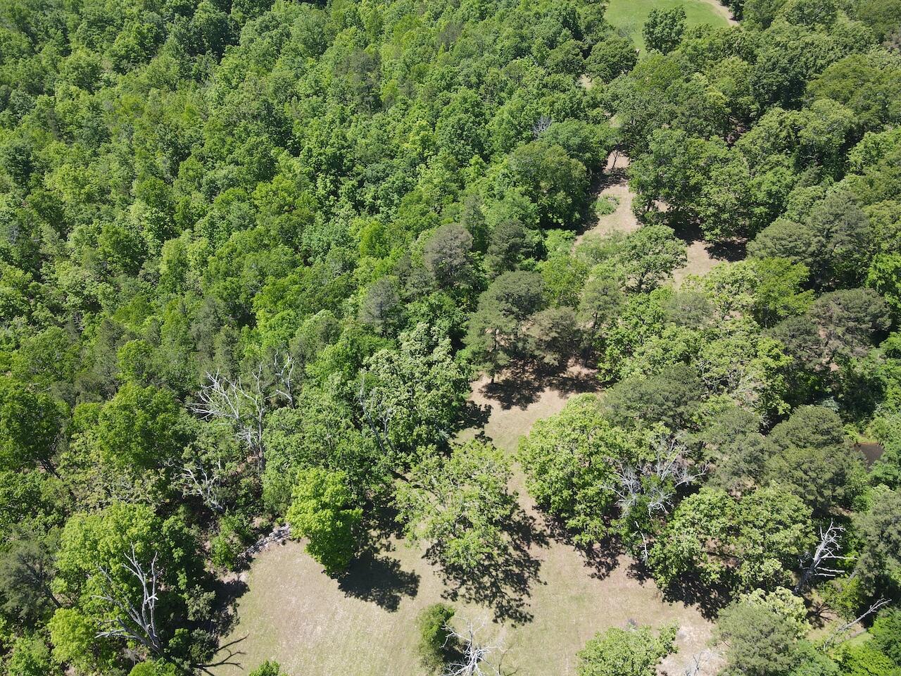 main property photo 121