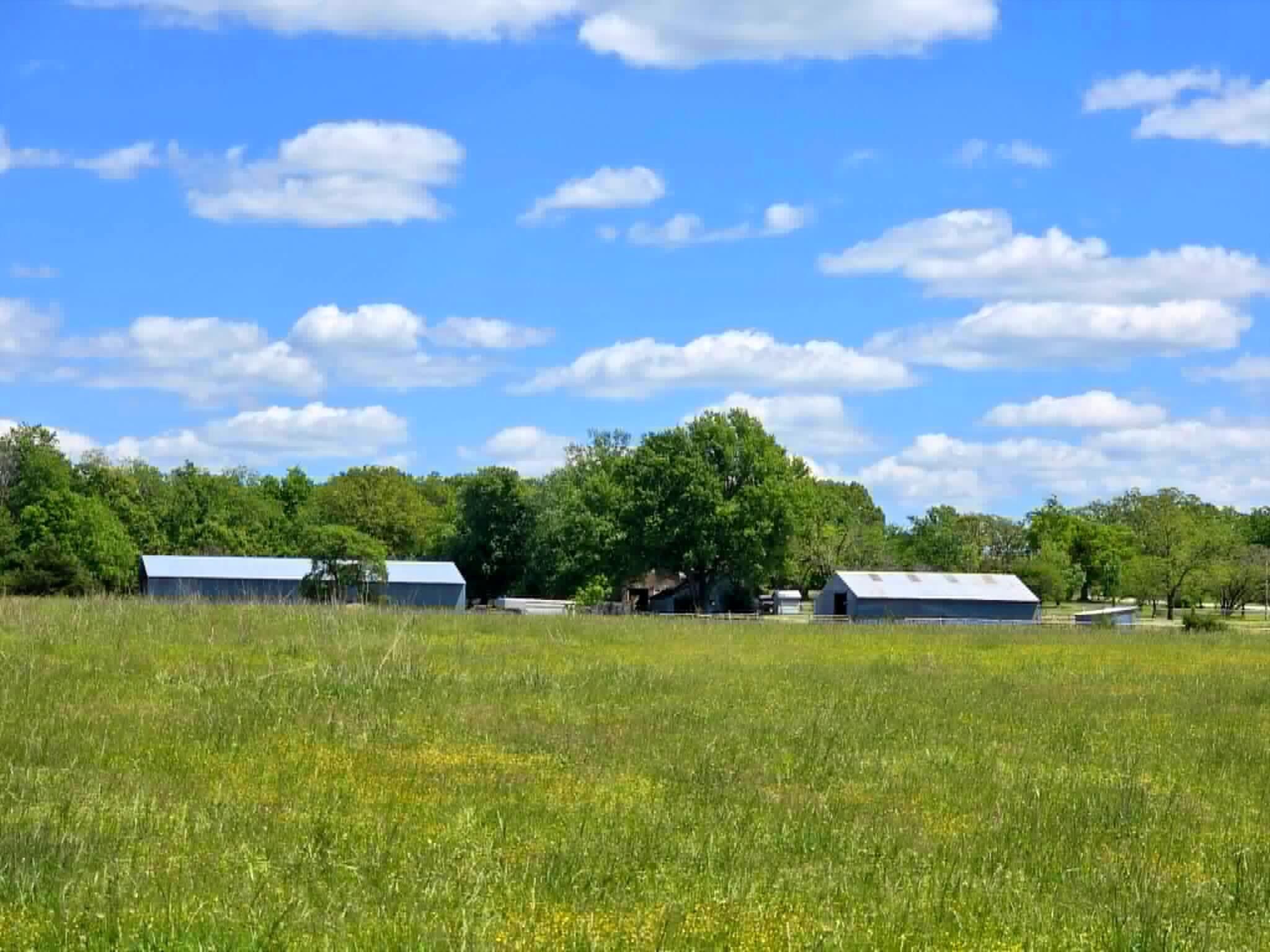 main property photo 58