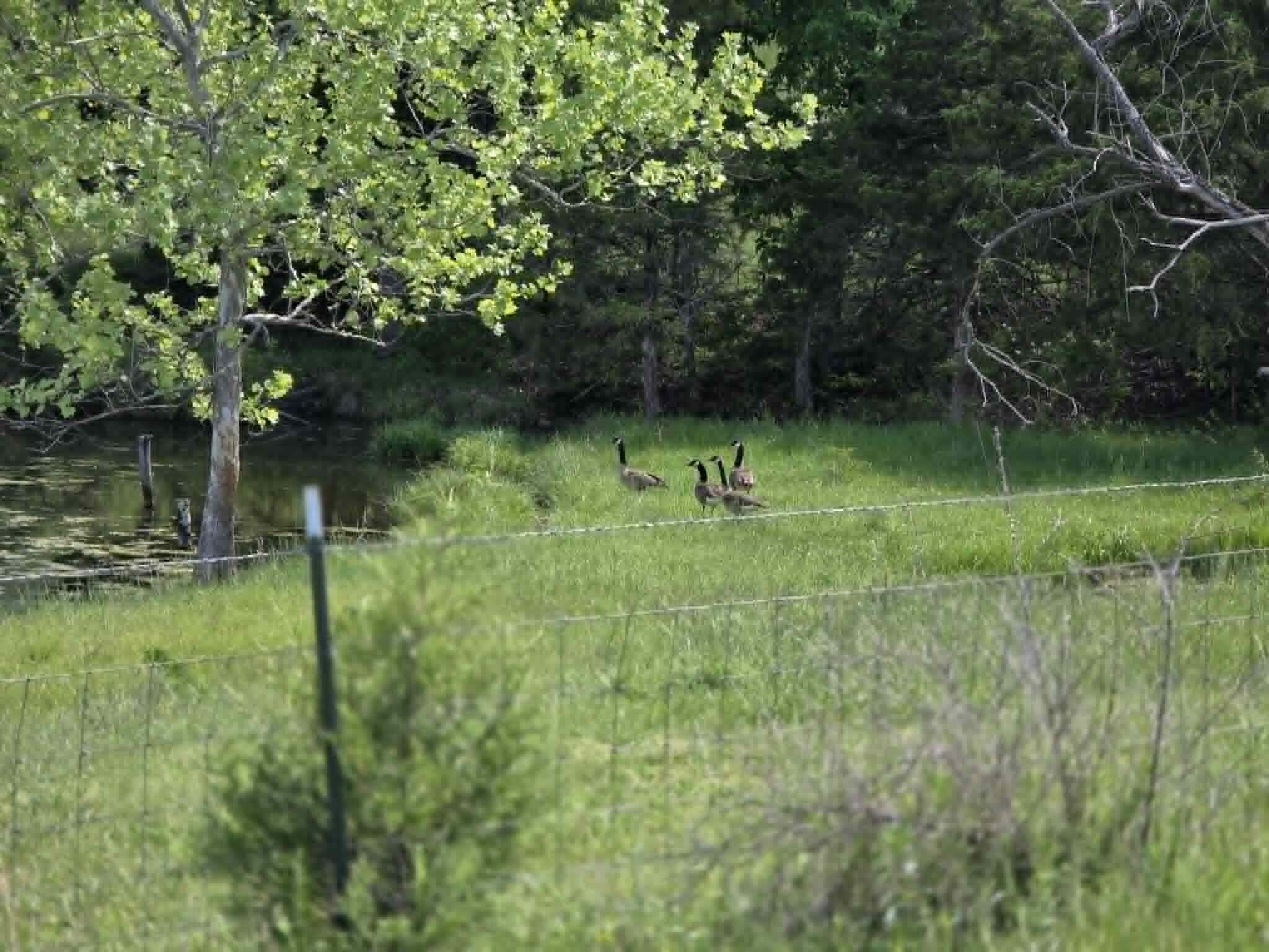 main property photo 72