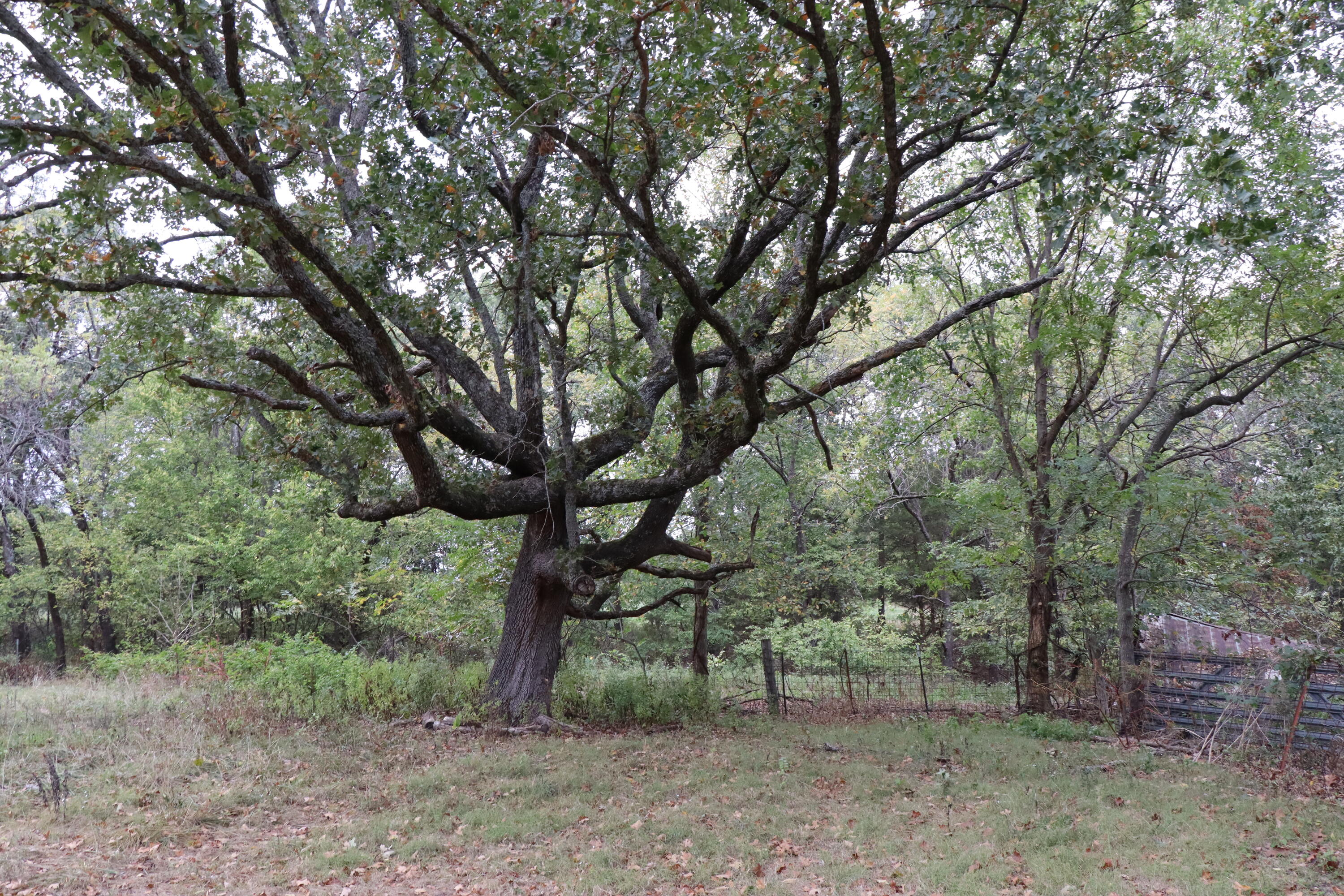 main property photo 23