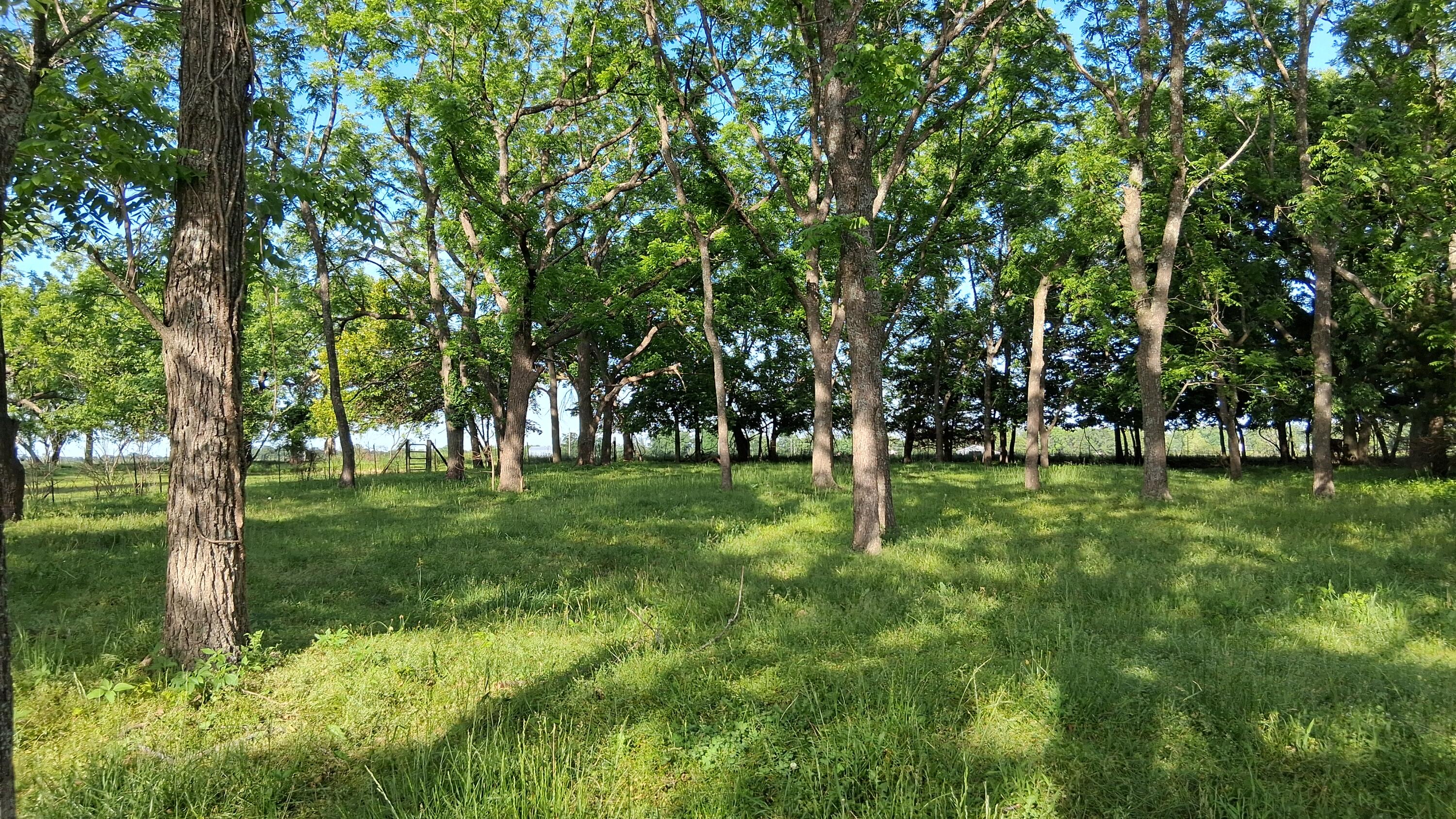 main property photo 34