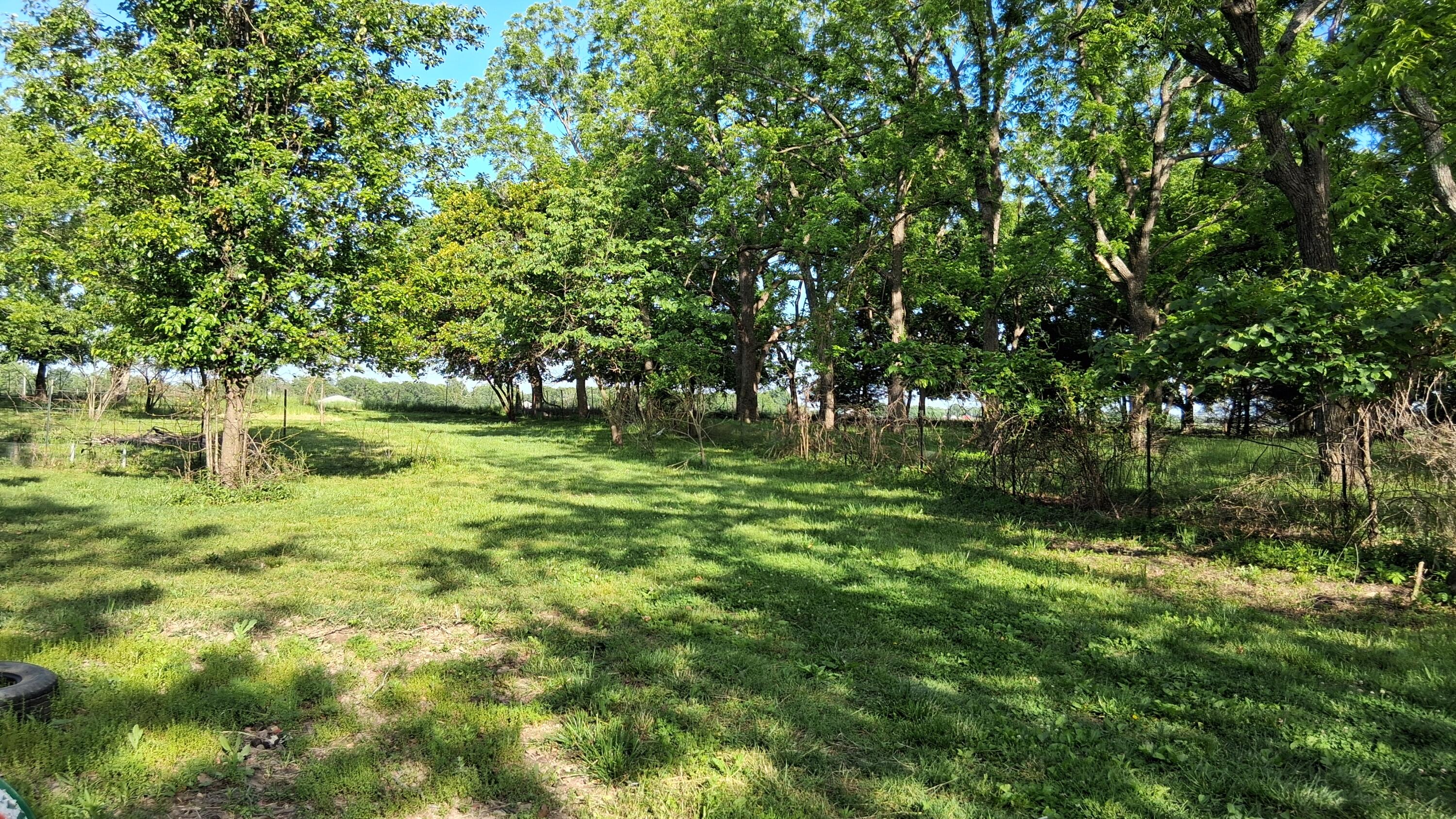 main property photo 44