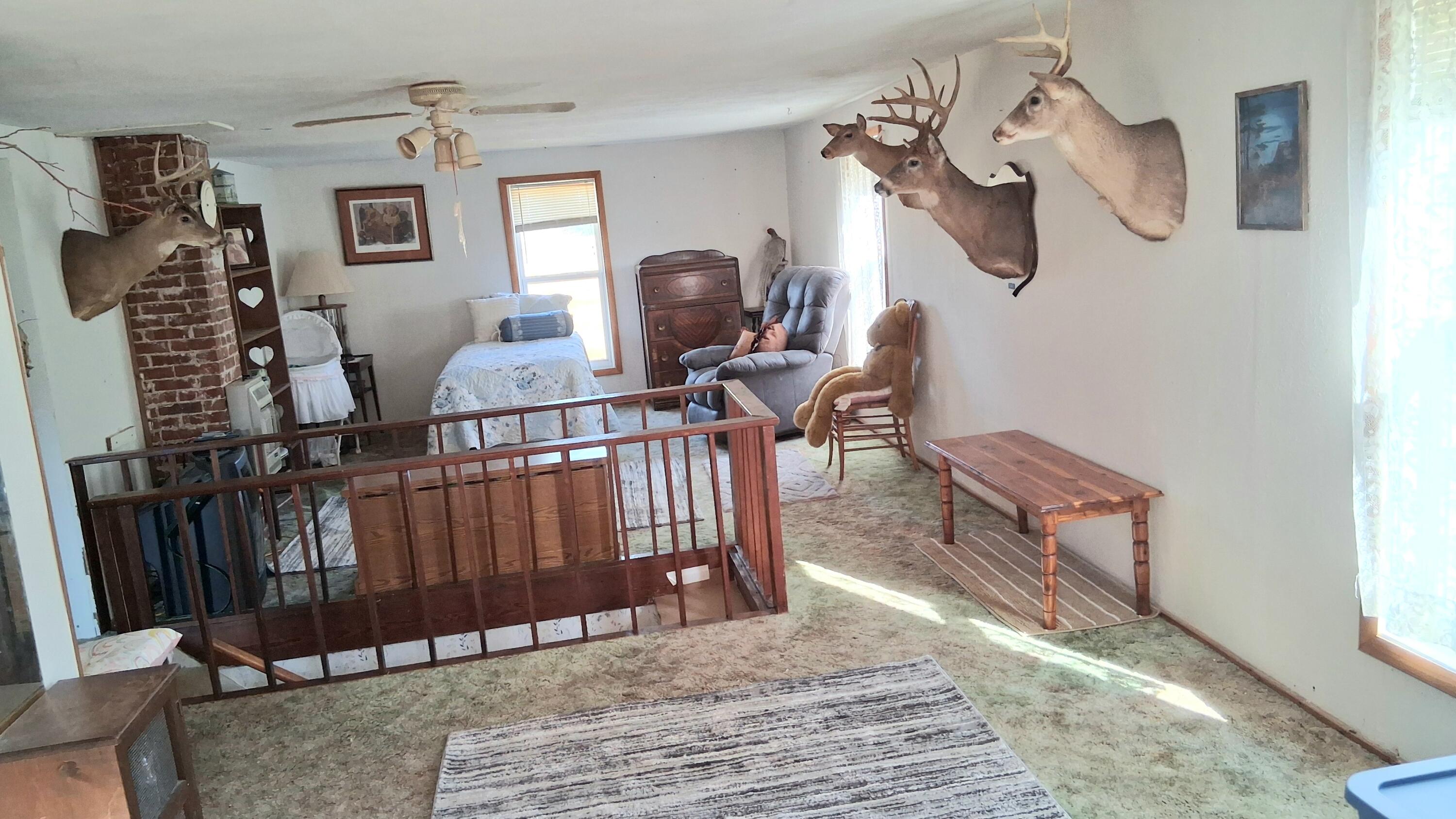 main property photo 50