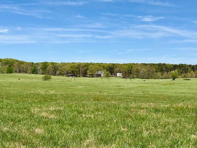 main property photo 59