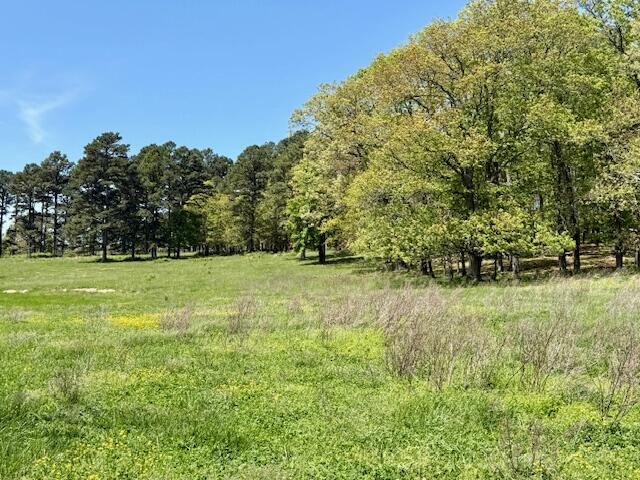 main property photo 66