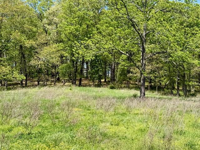 main property photo 67