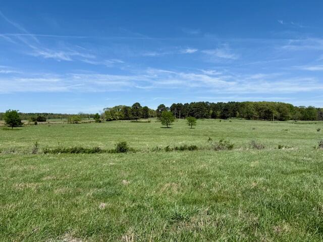 main property photo 70