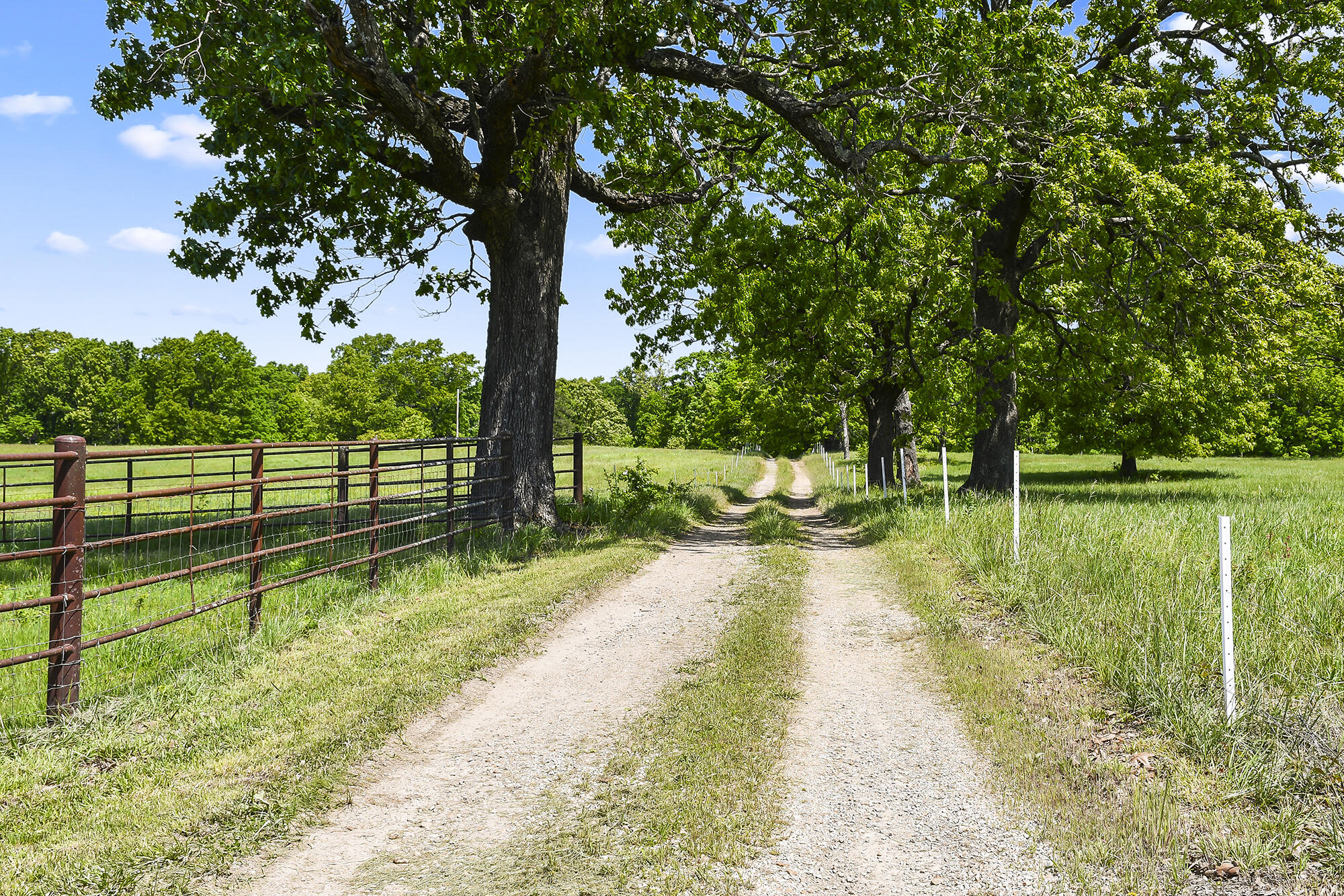 main property photo 100