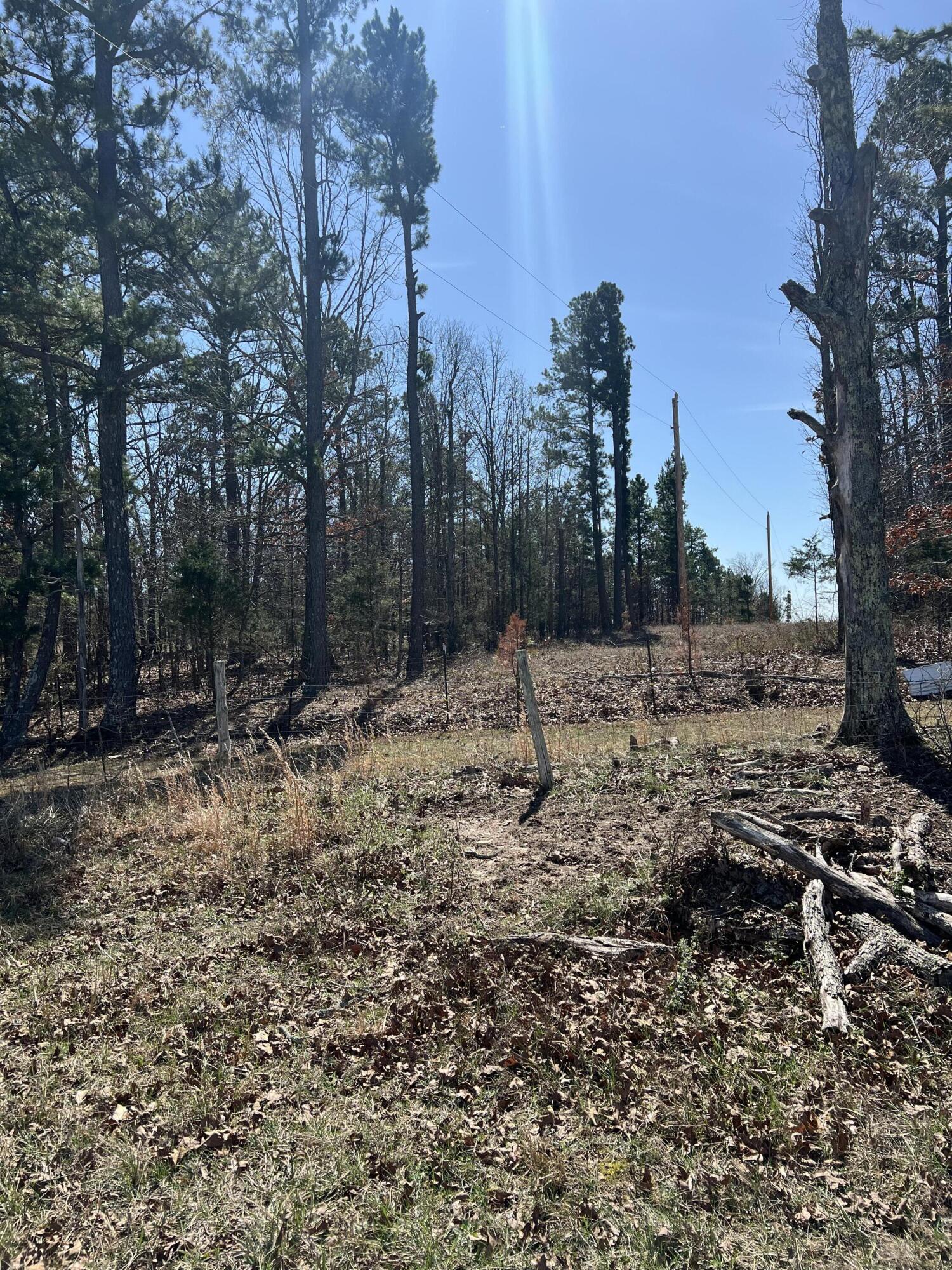 main property photo 59