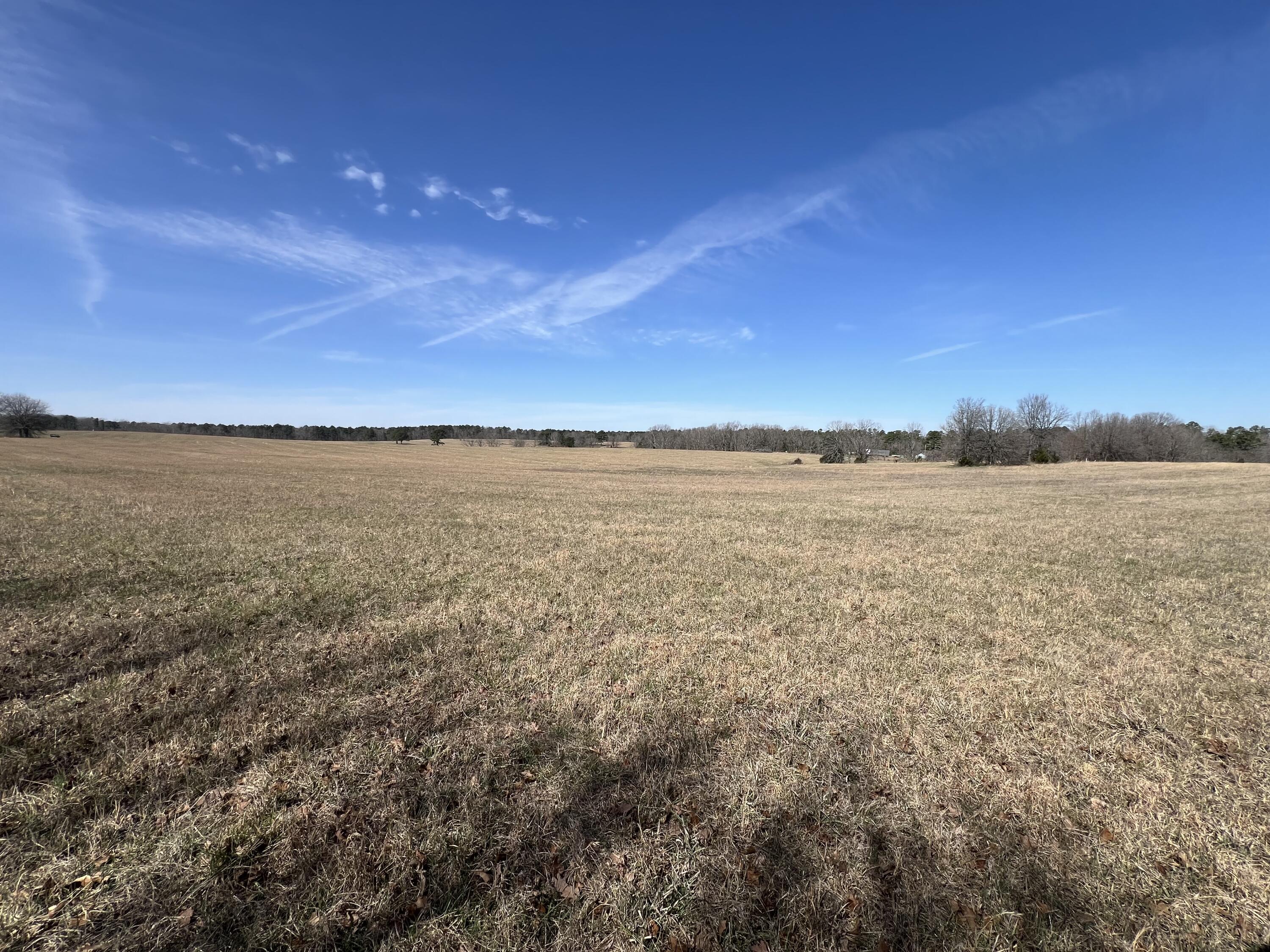 main property photo 65