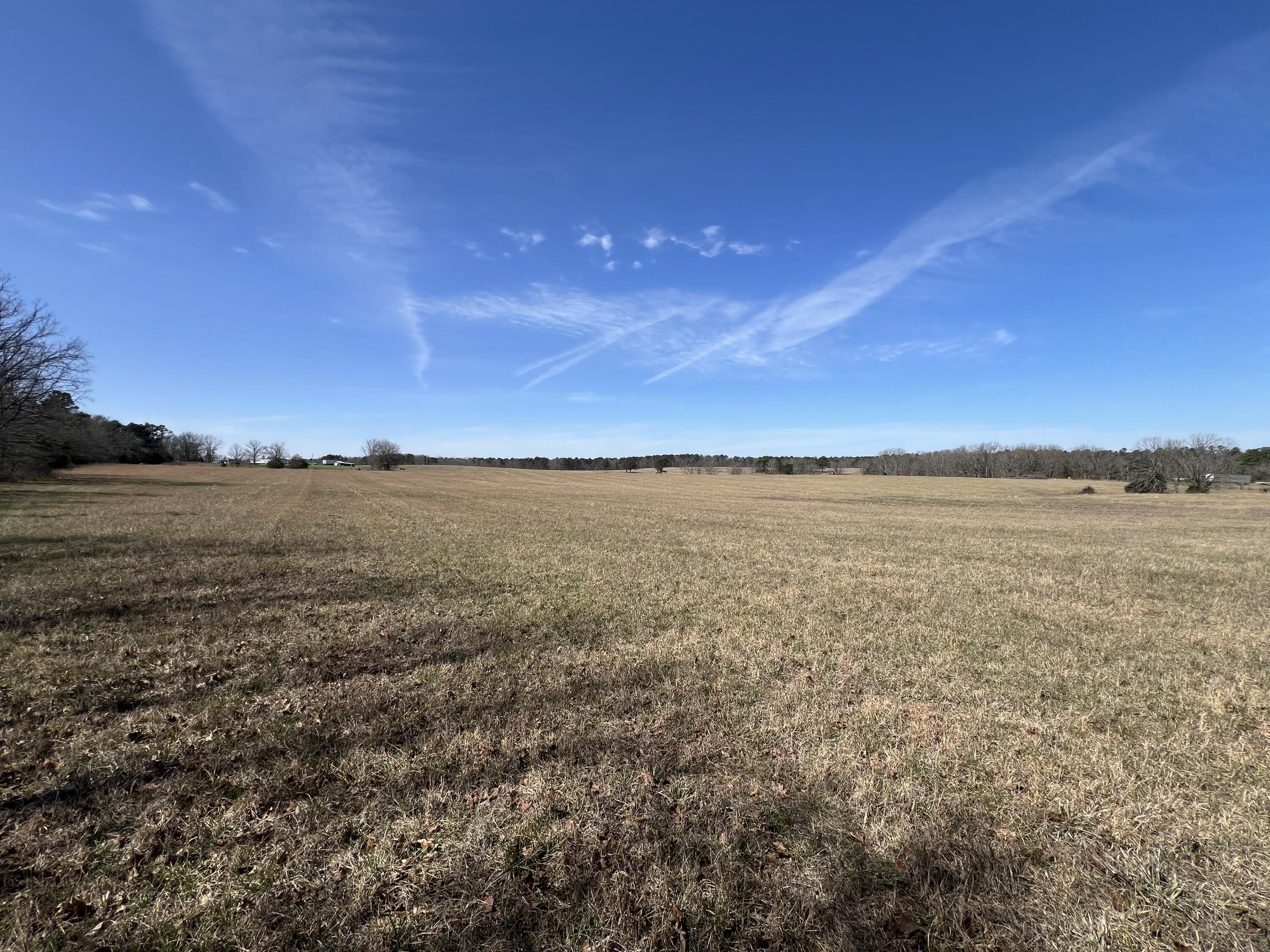 main property photo 67