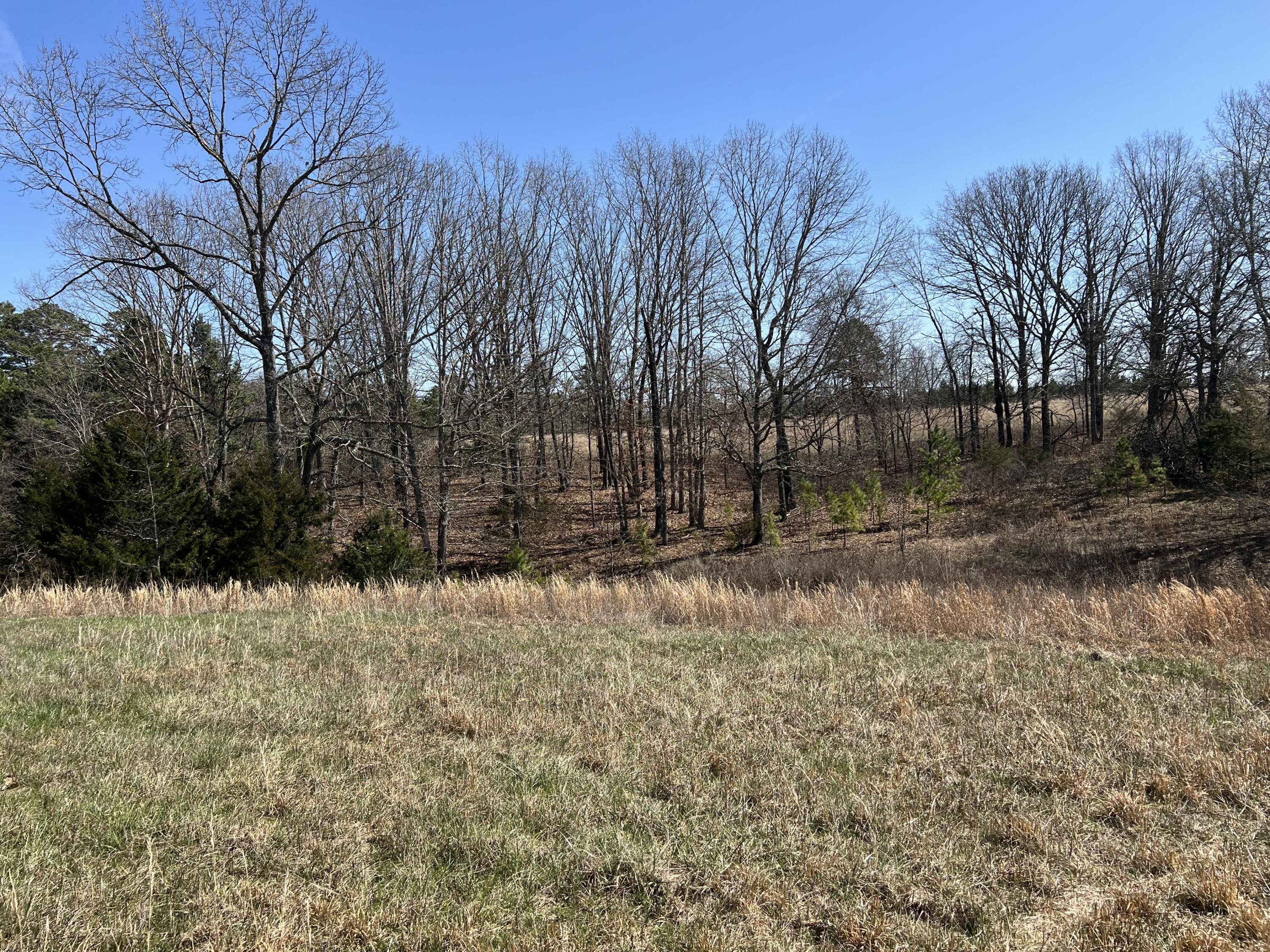 main property photo 72