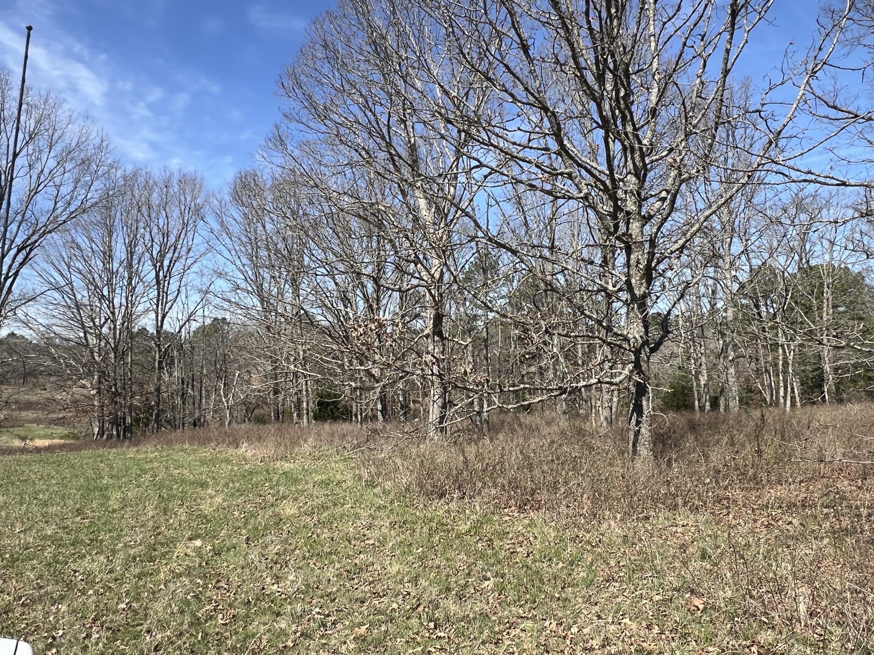 main property photo 77