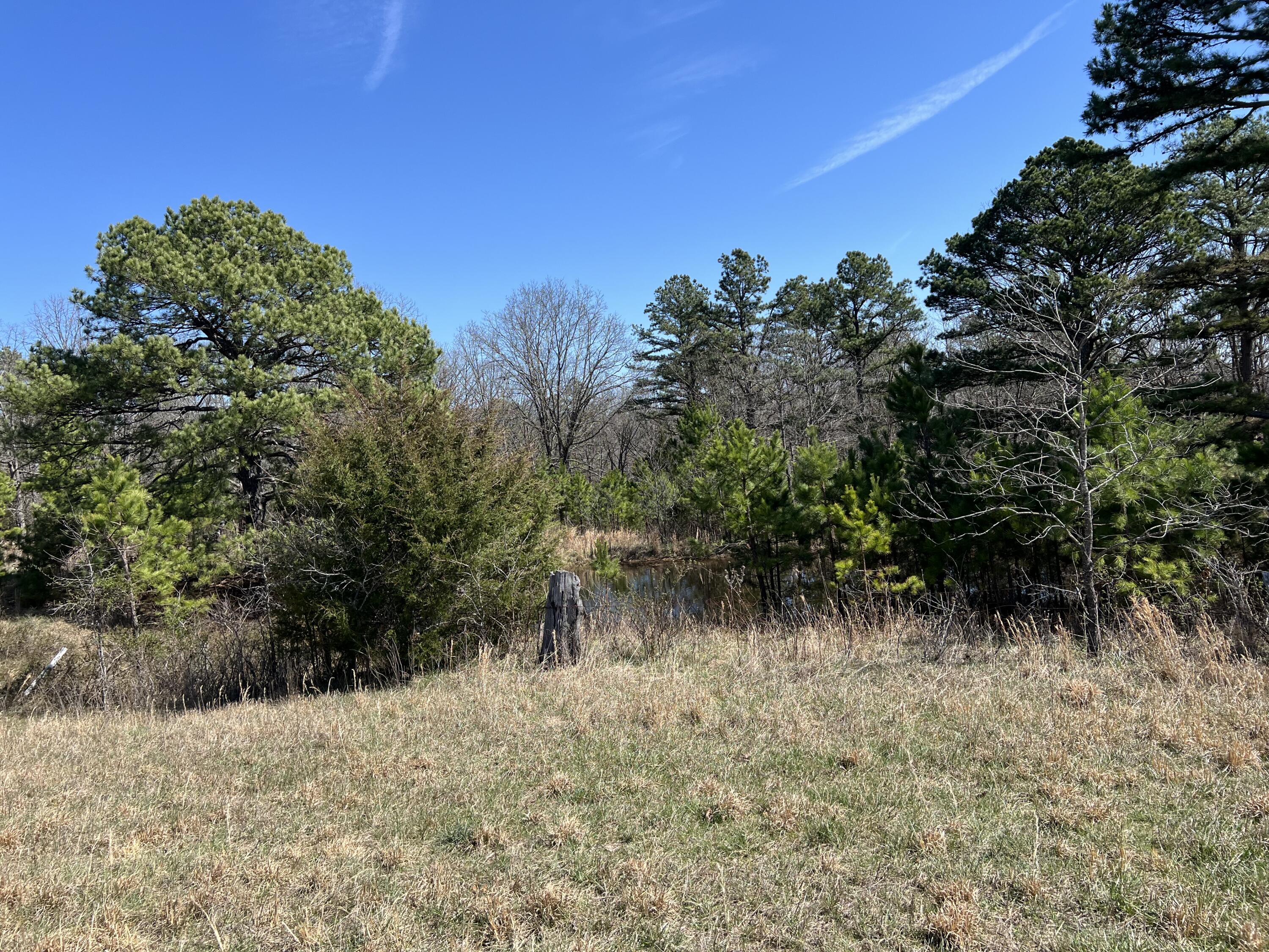 main property photo 80