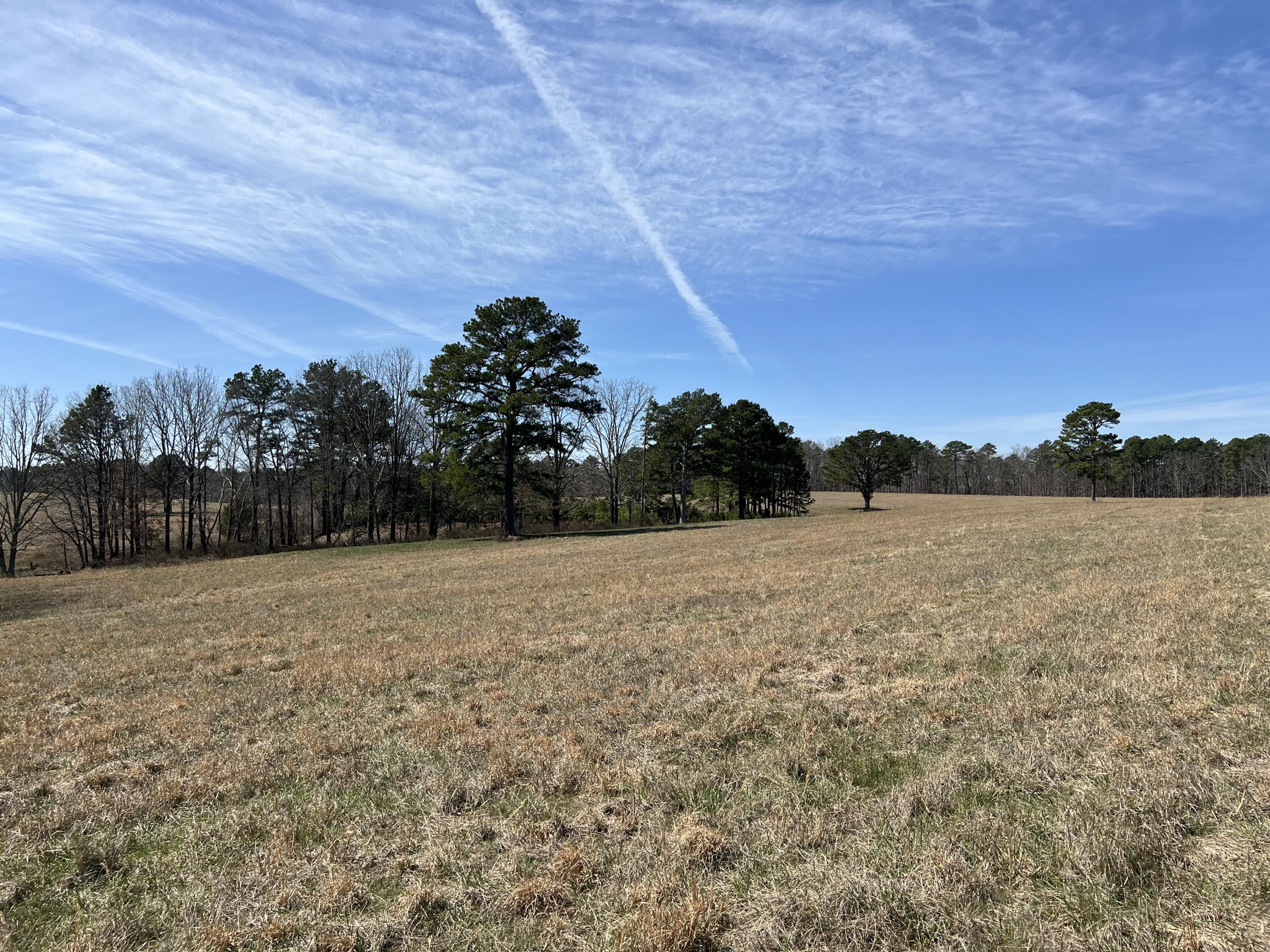 main property photo 83