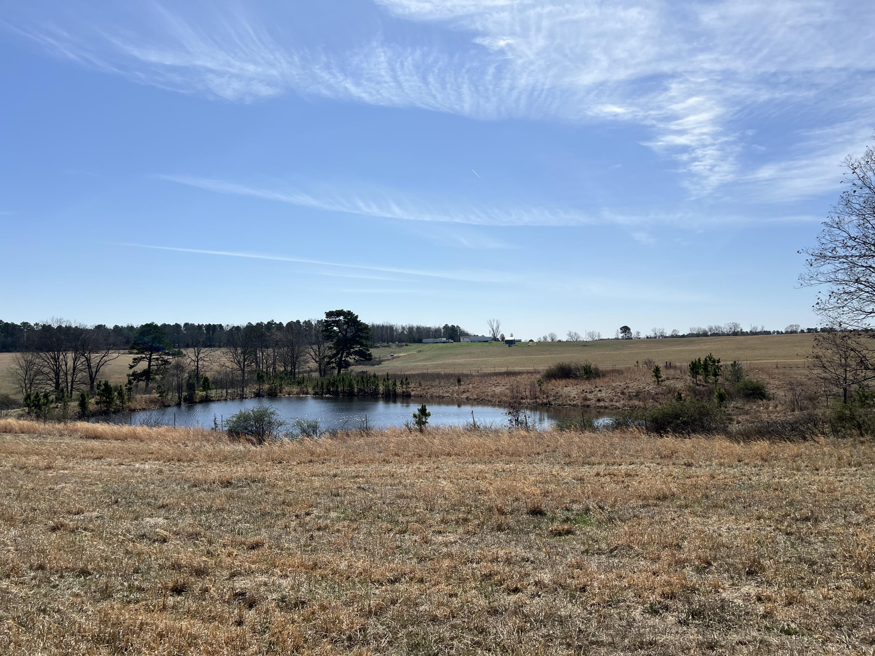 main property photo 84